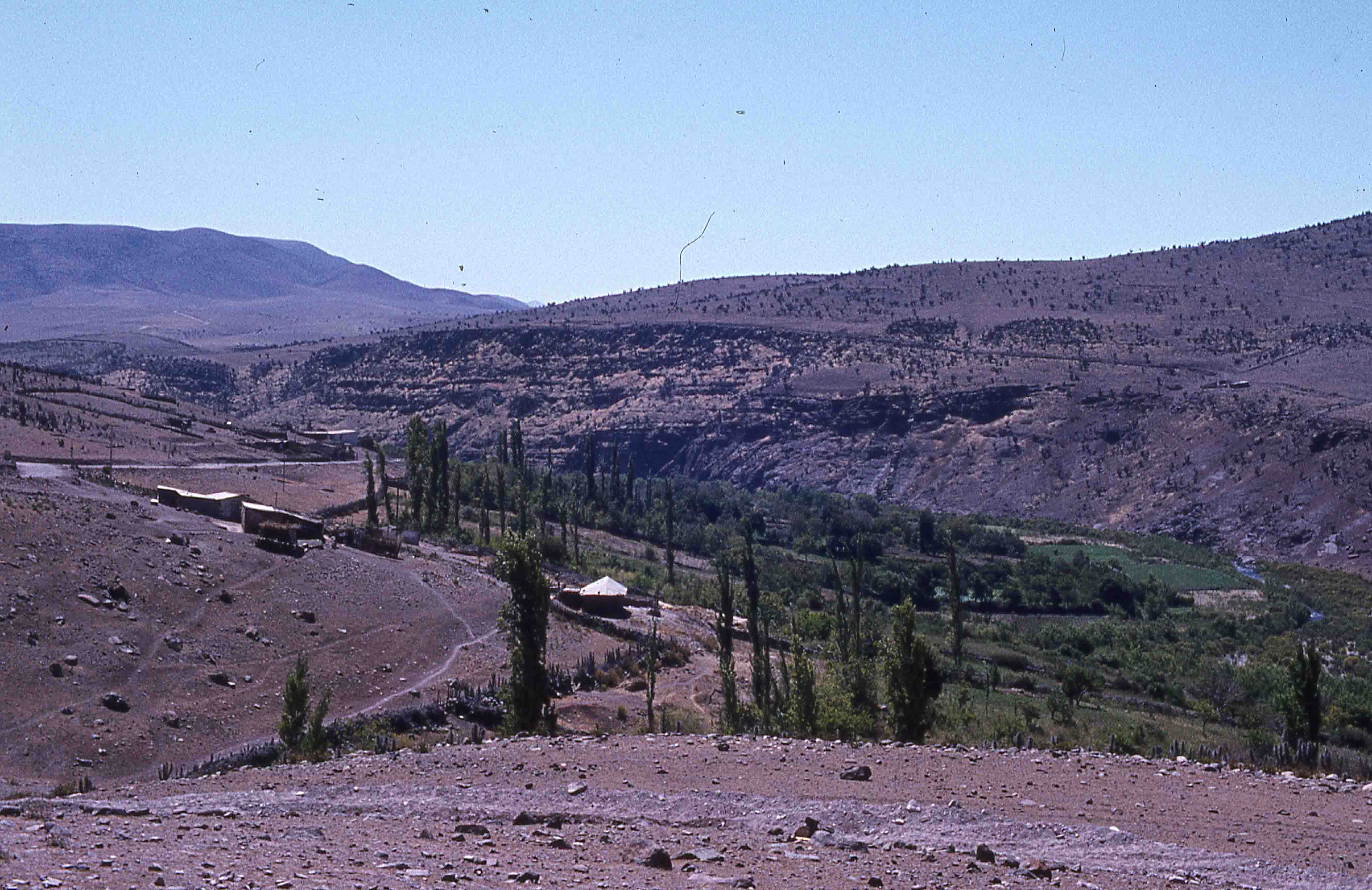 Pichasca en los años 70s