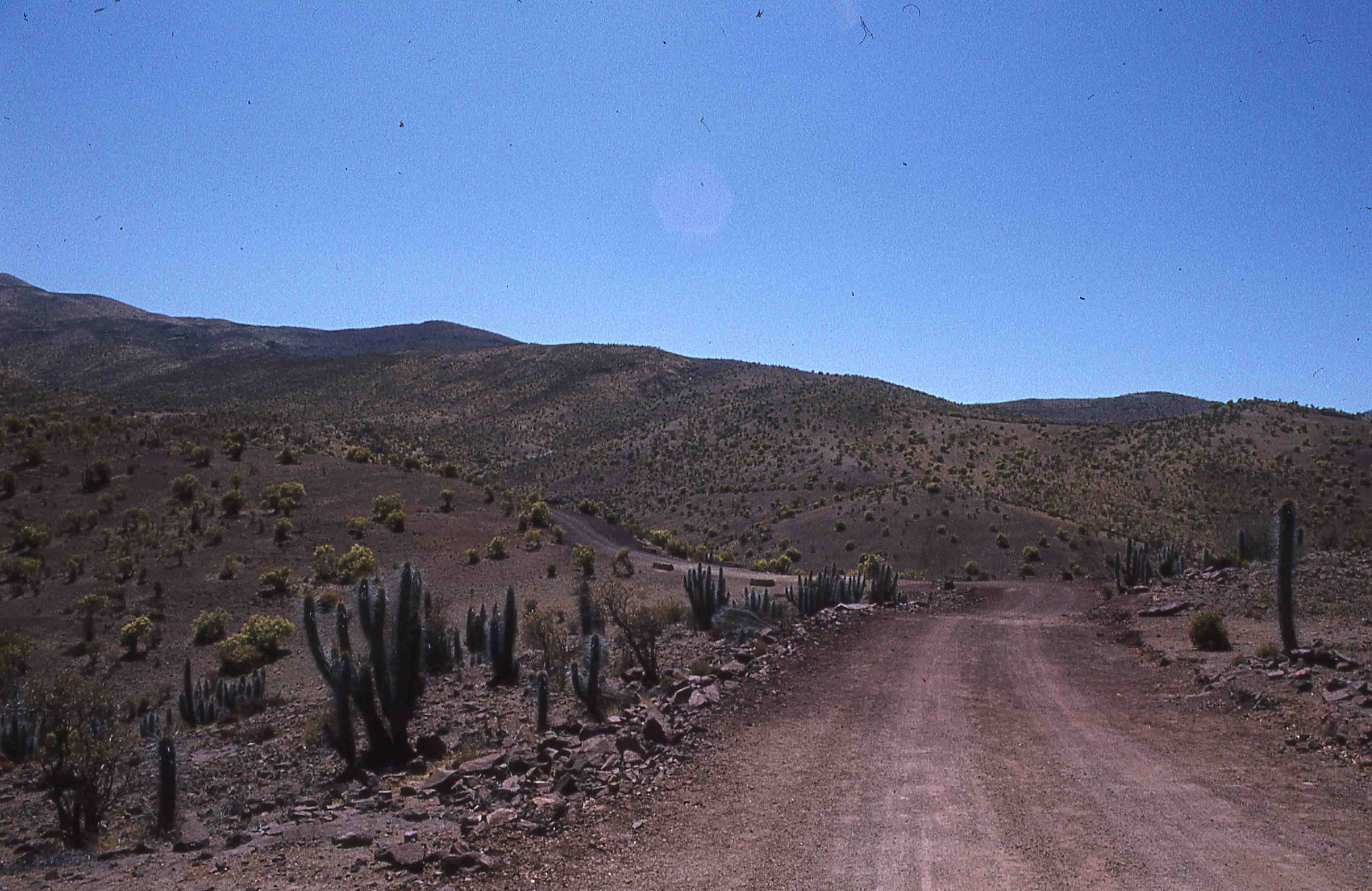Pichasca en los años 70s