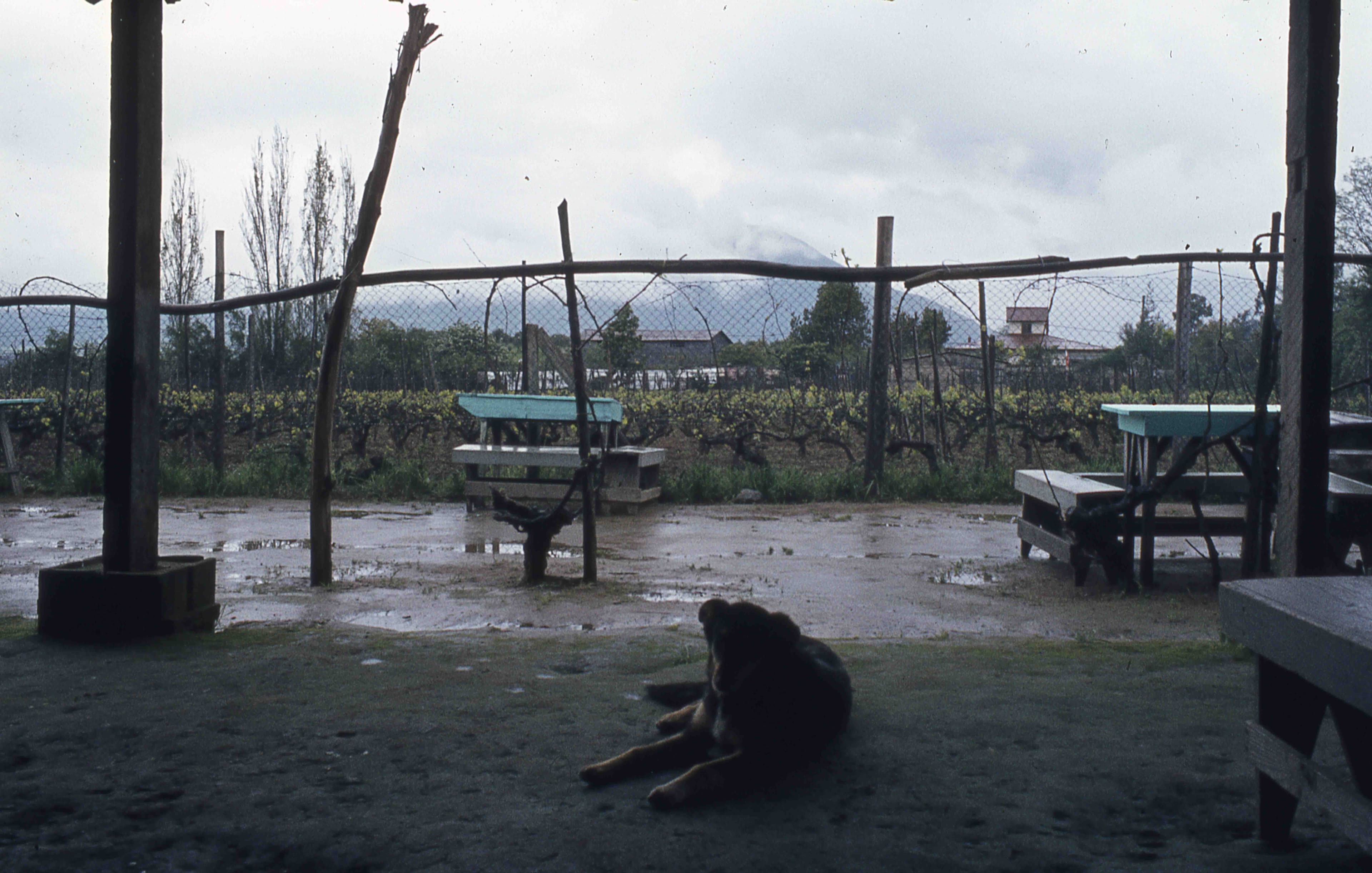 Sector Parque Nacional la Campana en los 70s