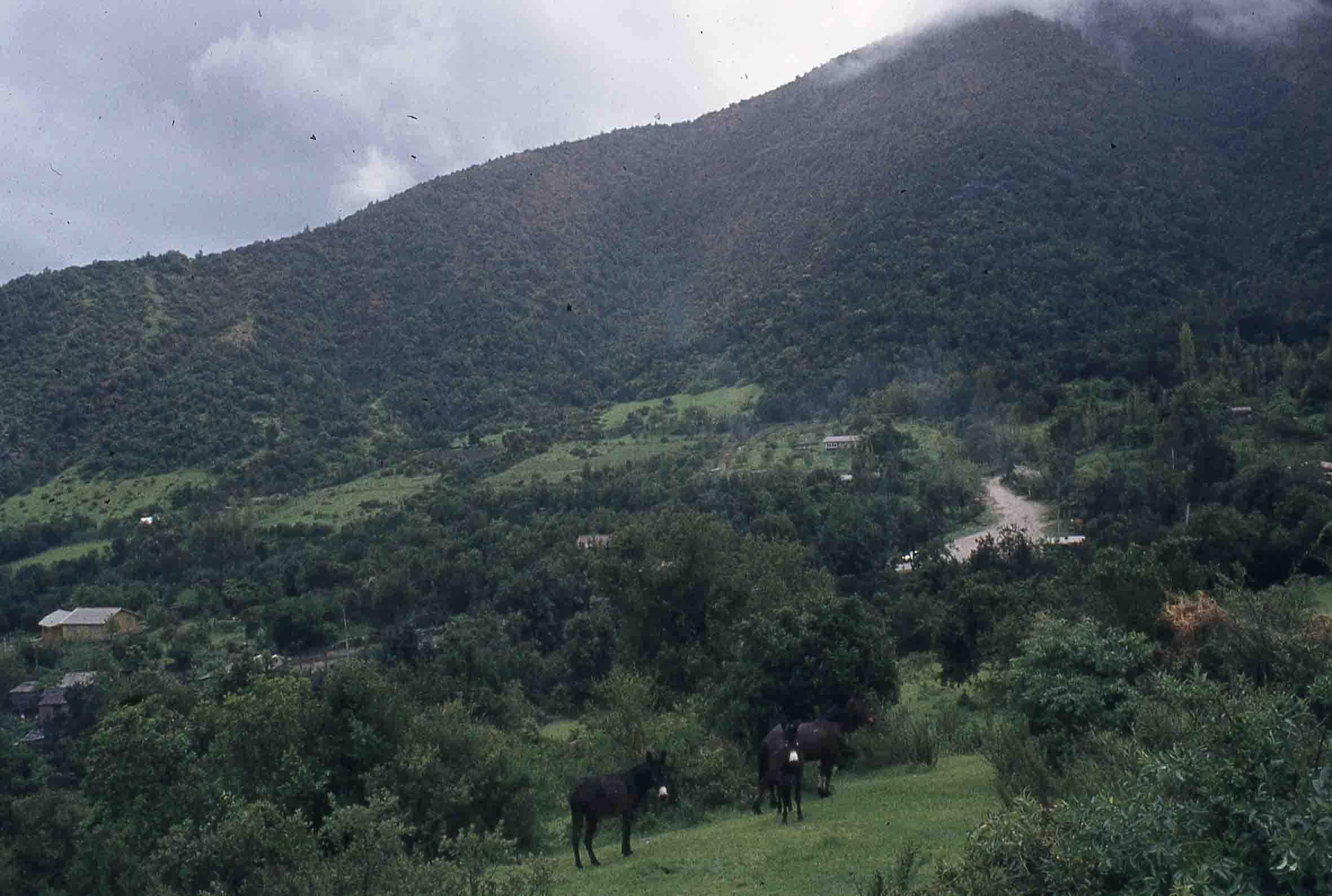 Sector Parque Nacional la Campana en los 70s