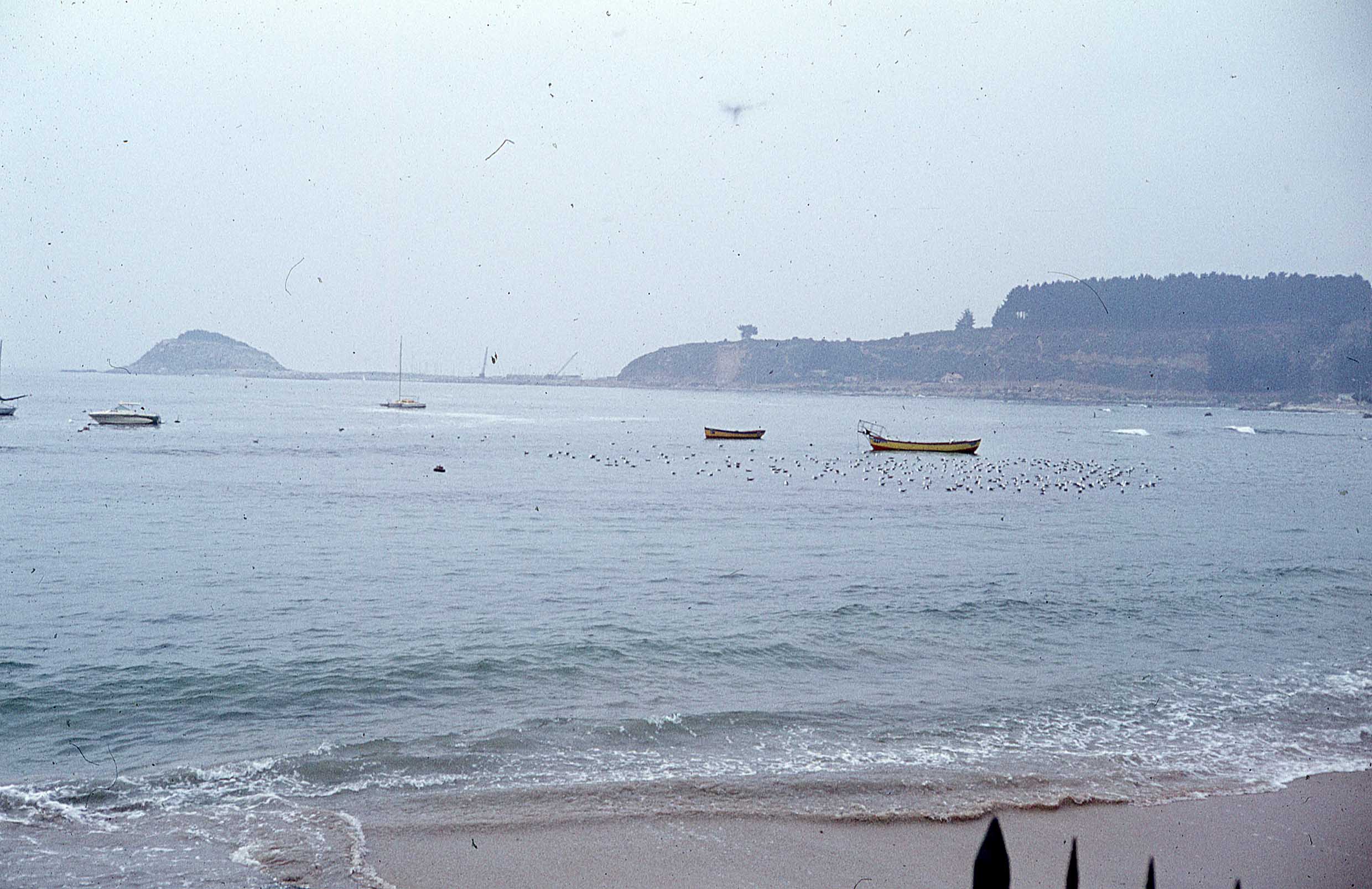 Algarrono en 1979