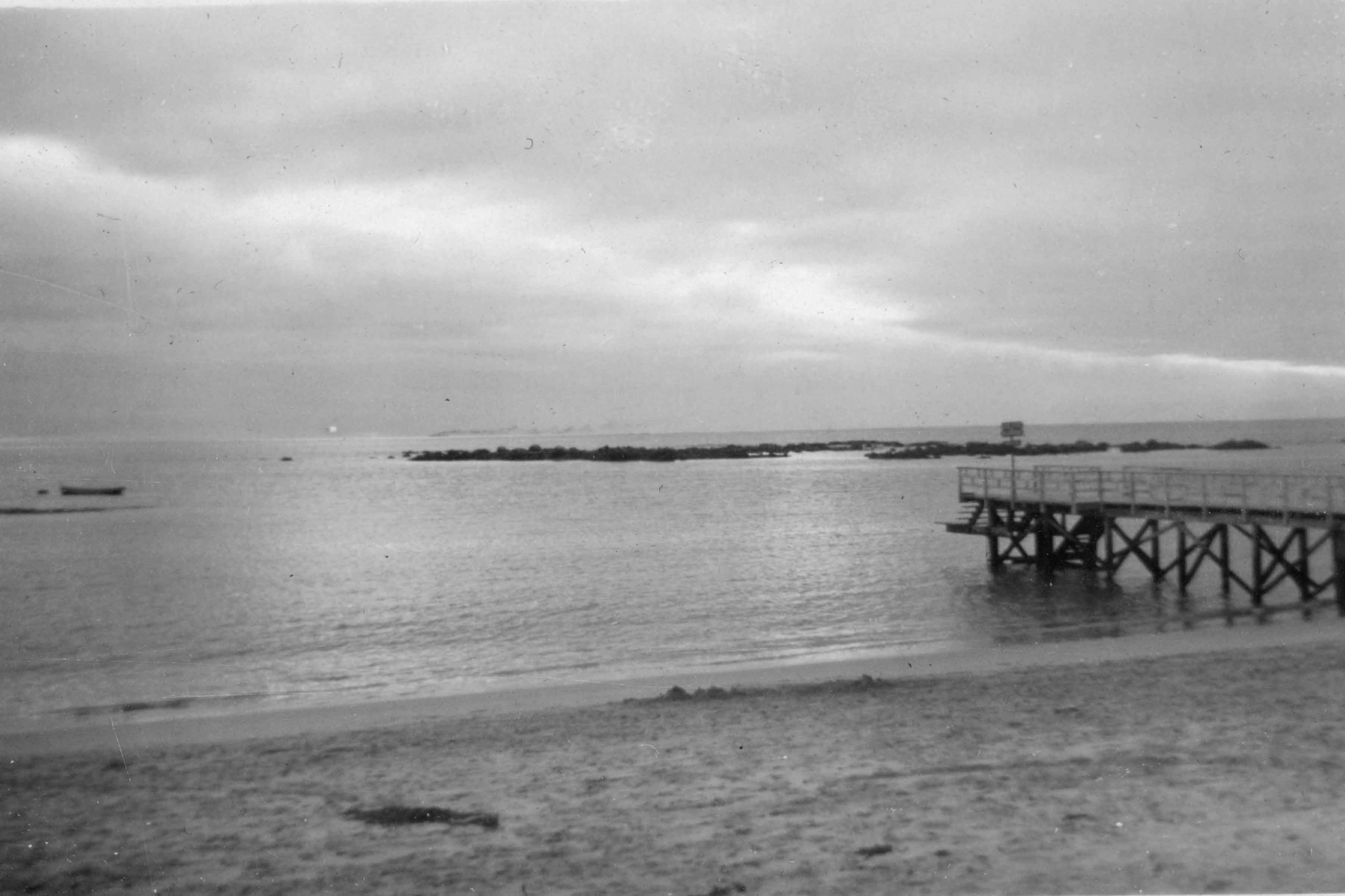 Algarrobo en 1947
