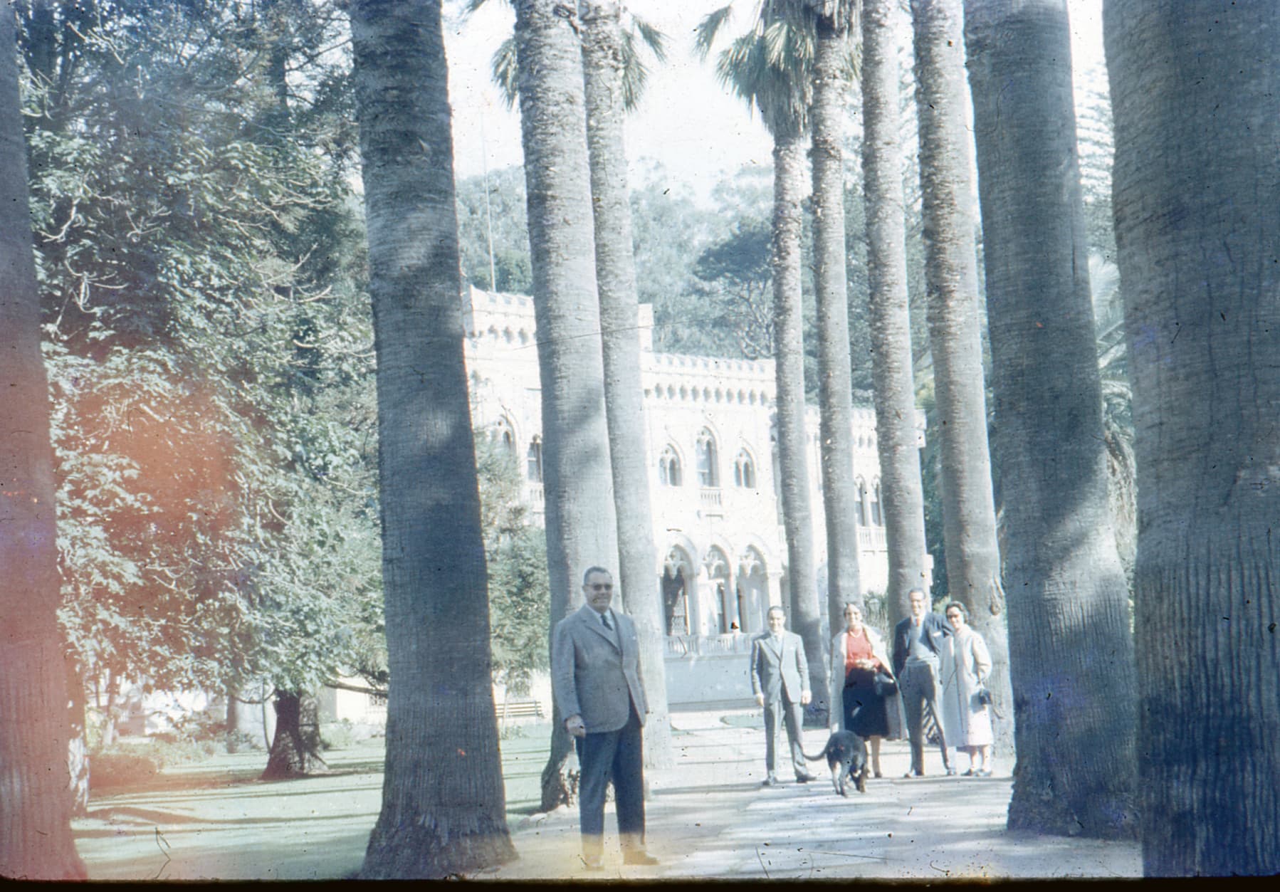 Parque Vergara de Viña del Mar en 1959