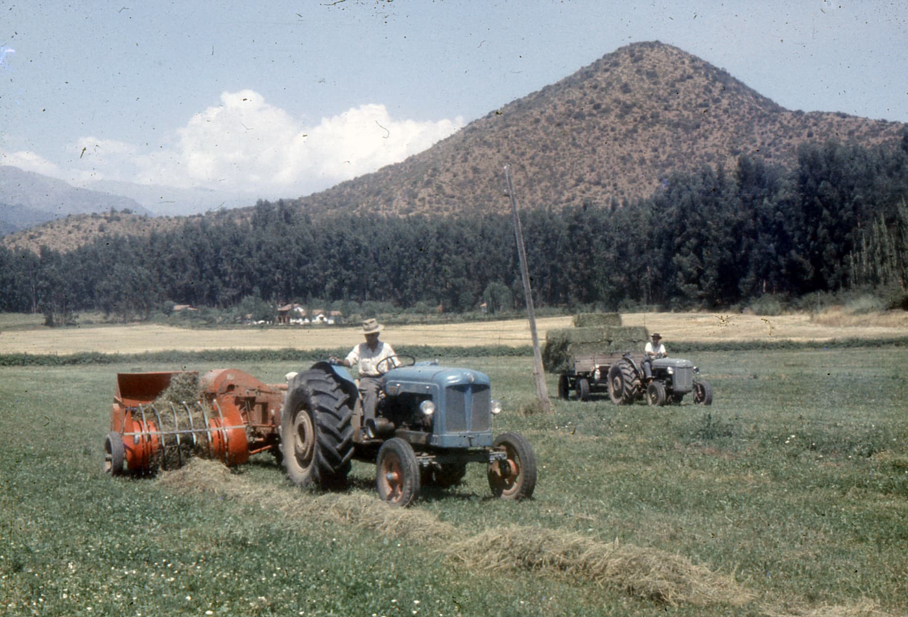 Tractor en Fundo La Punta, 1963
