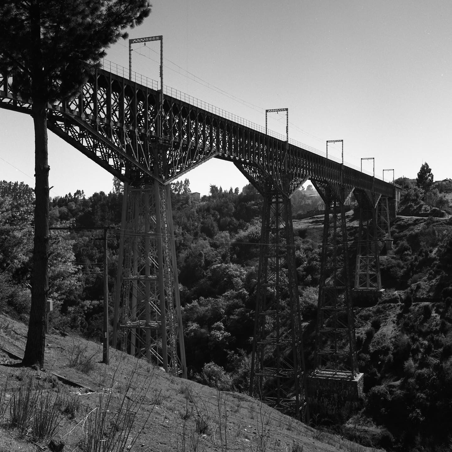 Viaducto Malleco CA 1980
