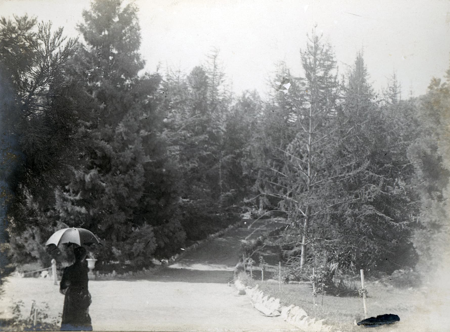 Parque Las Majadas de Pirque, CA 1901