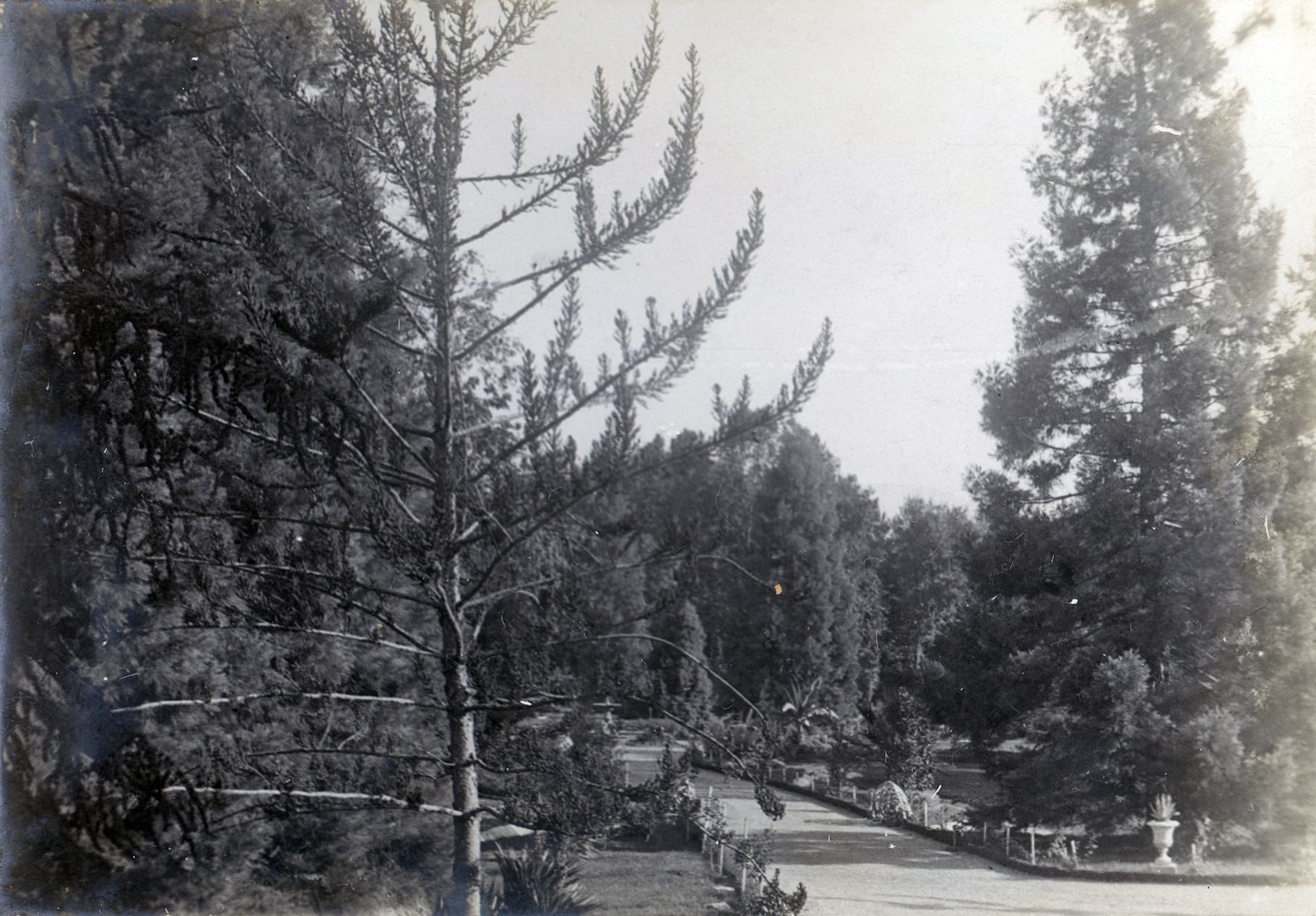 Parque Las Majadas de Pirque, CA 1901