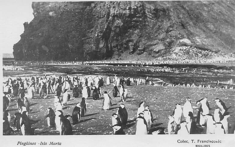 Pingüinos en Isla Marta, 1920