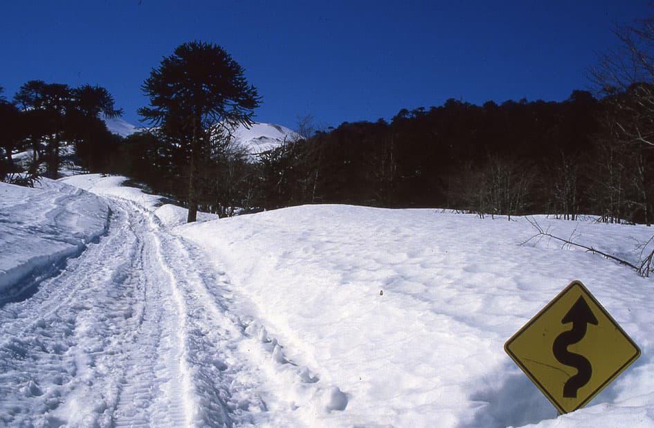 Camino a Llaima, 1986