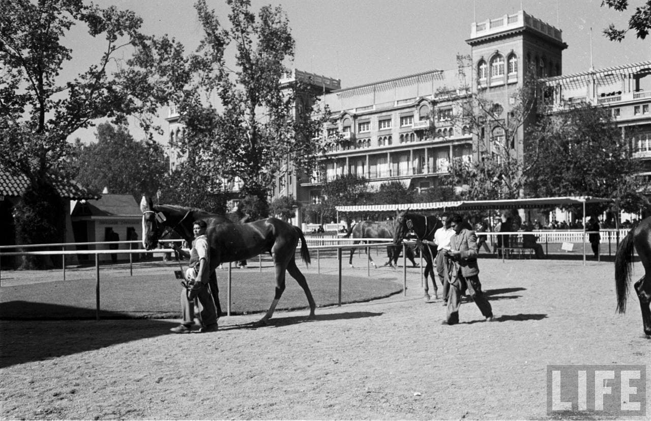 Club hípico, 1950