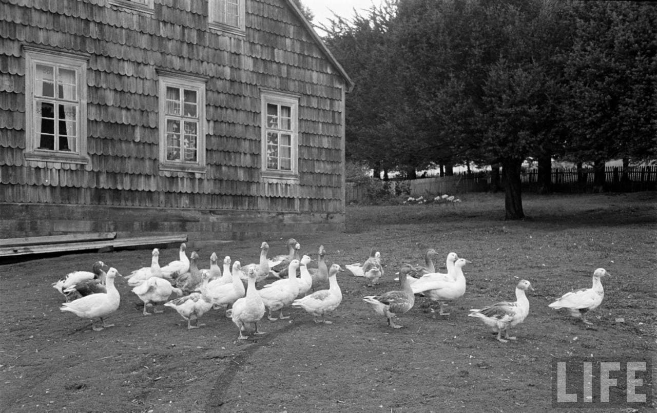 Casa Sur de Chile, 1950