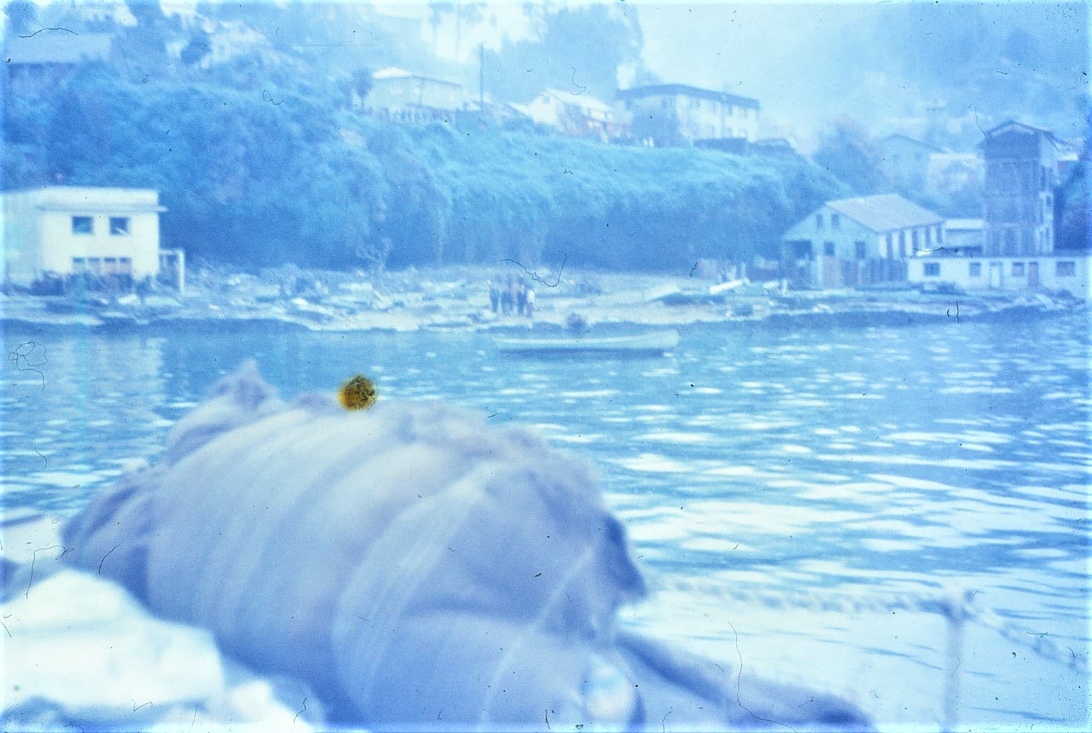 Terremoto Corral, 1960