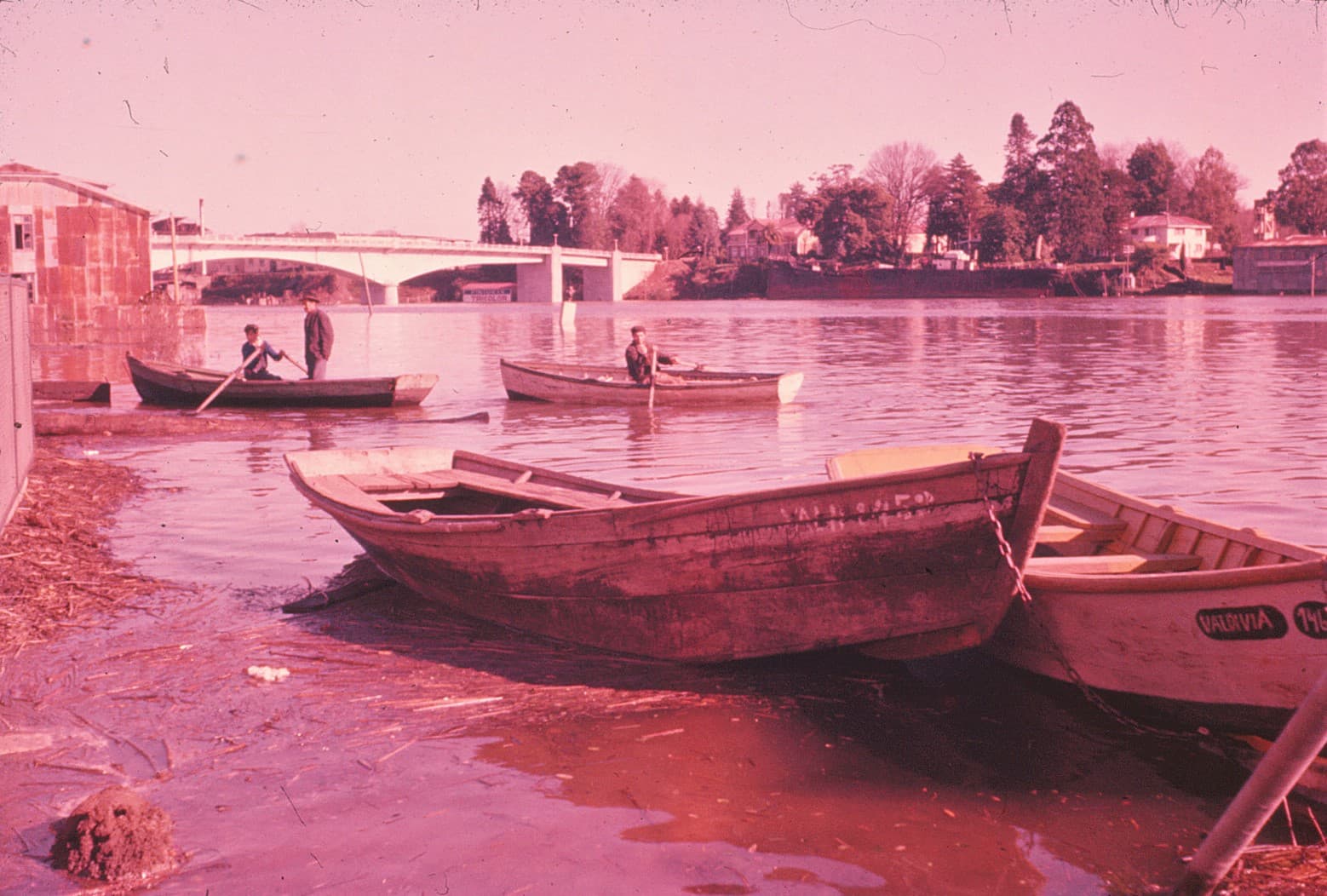 Post Terremoto de Valdivia en 1960