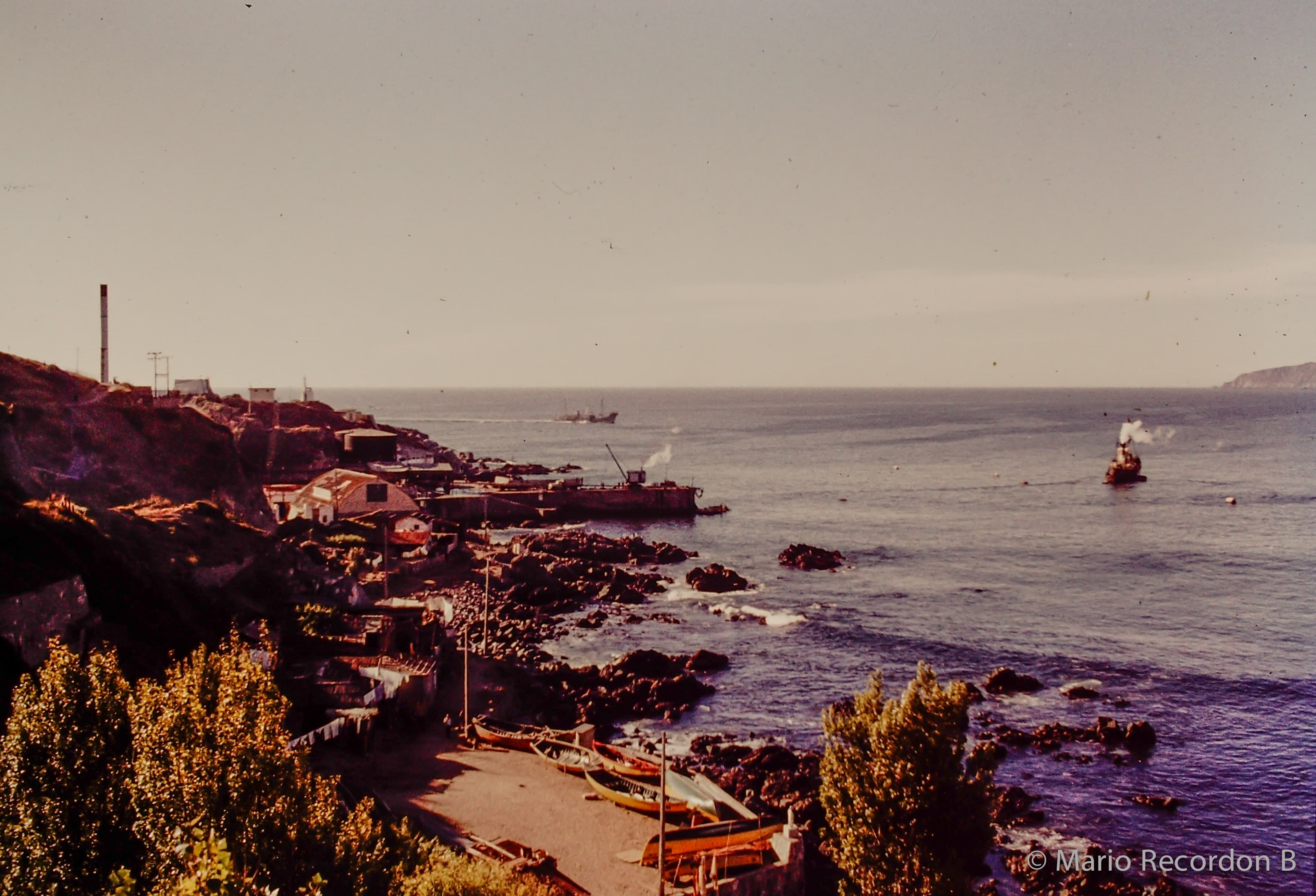 Japoneses en Chile, Ballenera de Quintay, 1964
