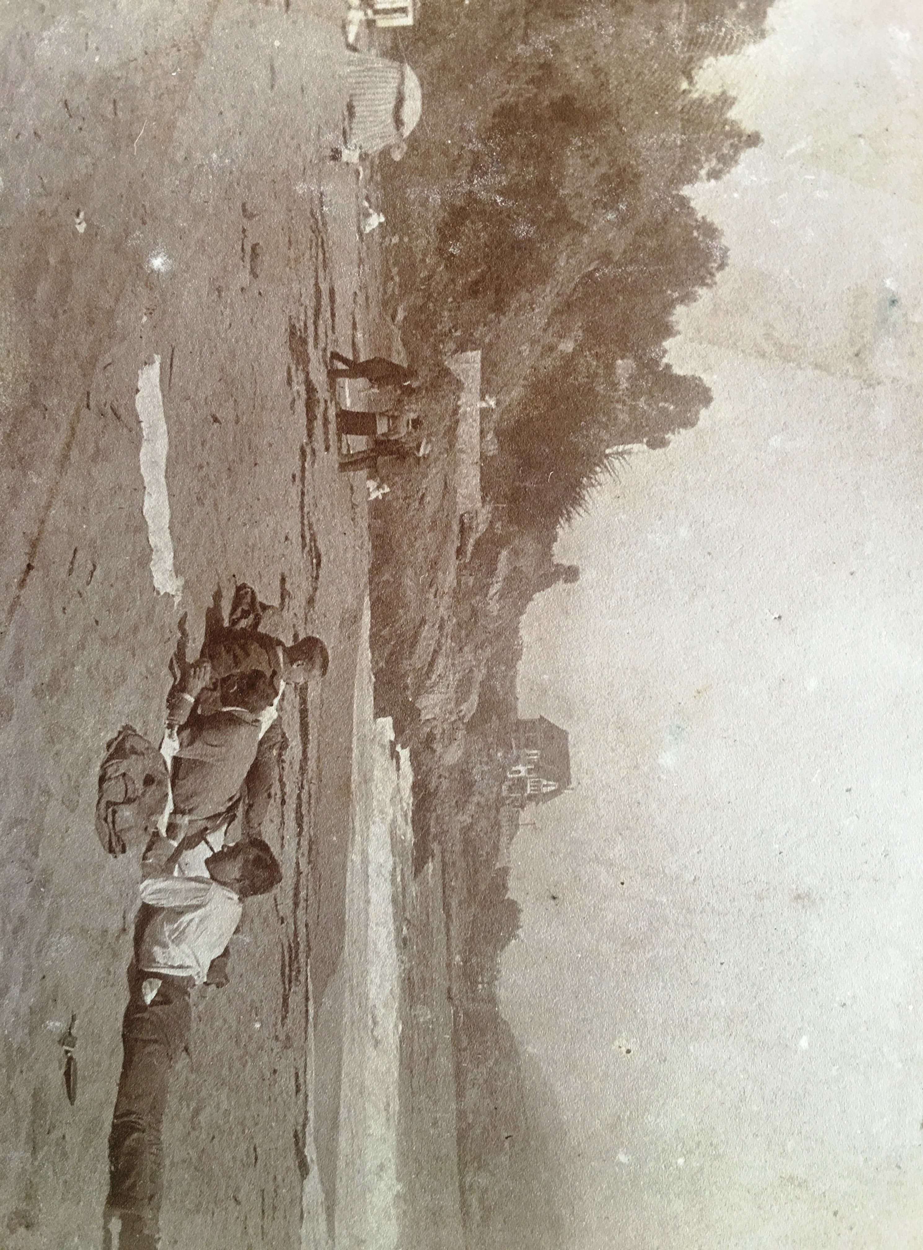 Zapallar 1916