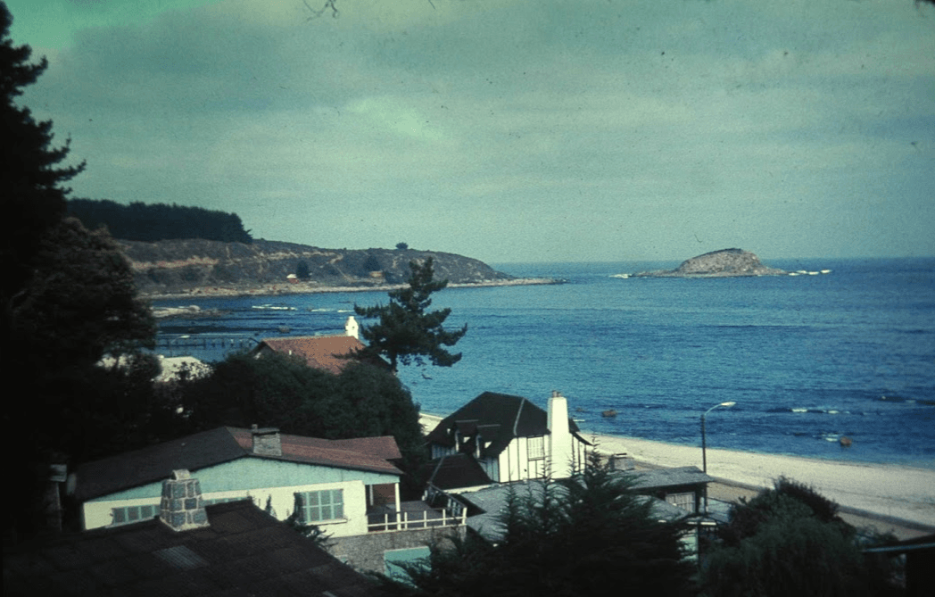 Algarrobo, Isla los Pingüinos, 1969