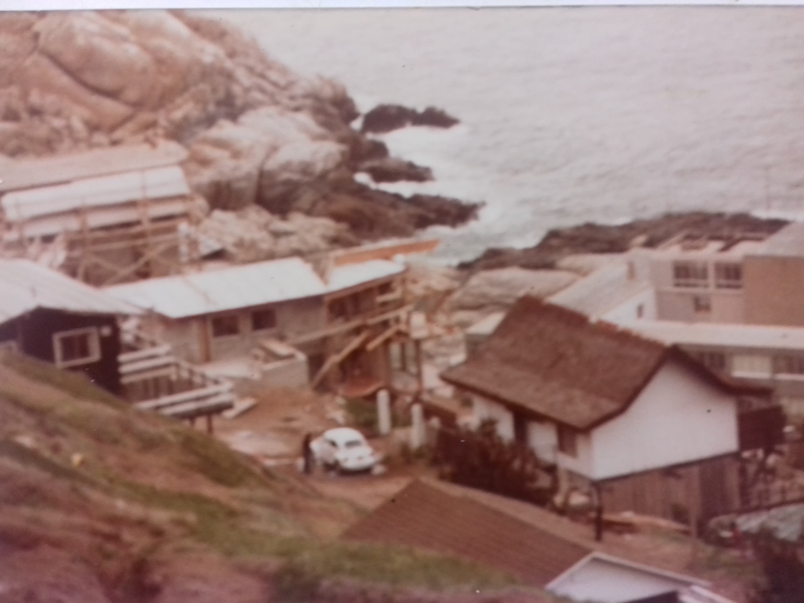 Viña del Mar, 1982