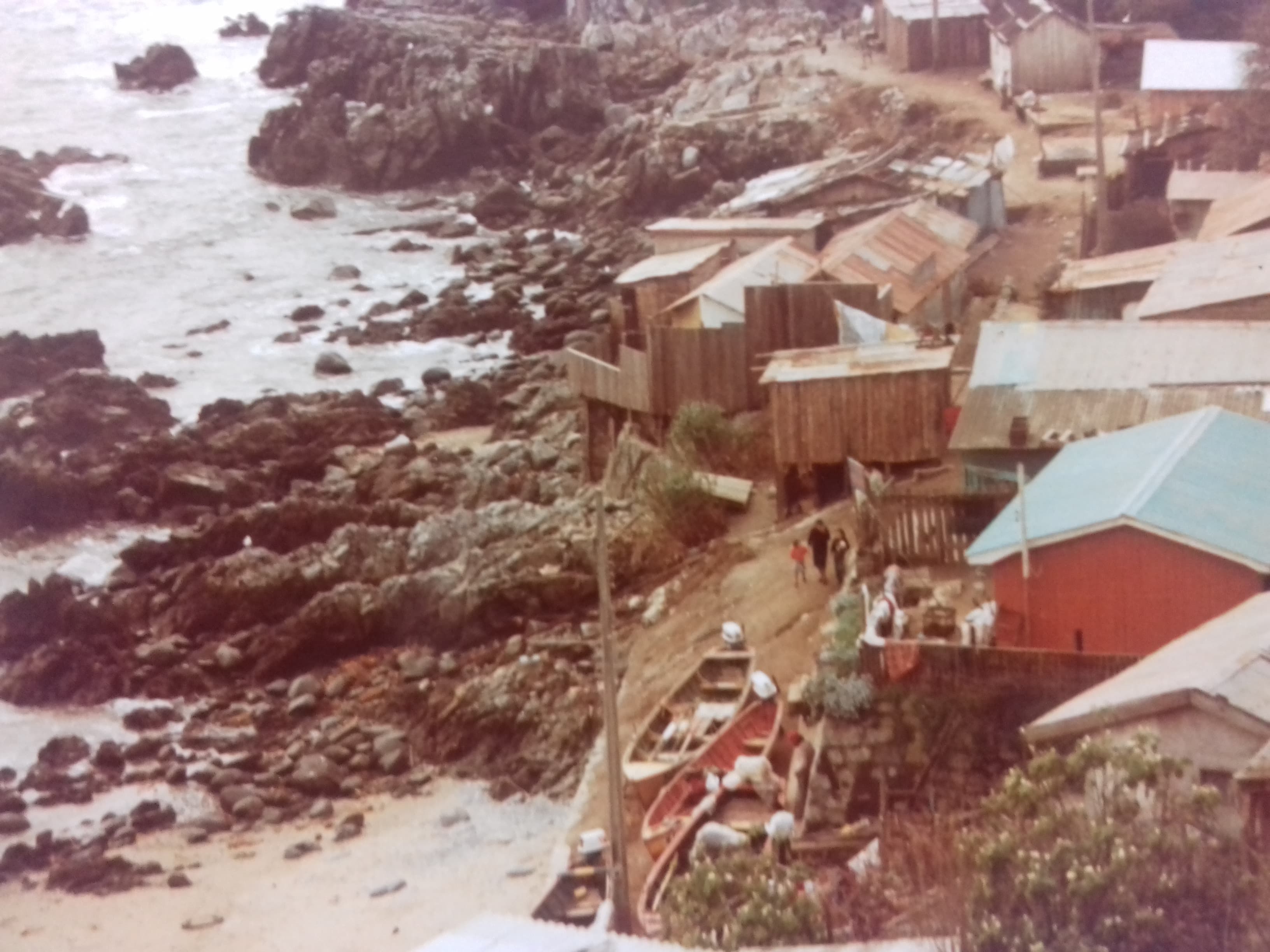 Cerca de Reñaca, 1982