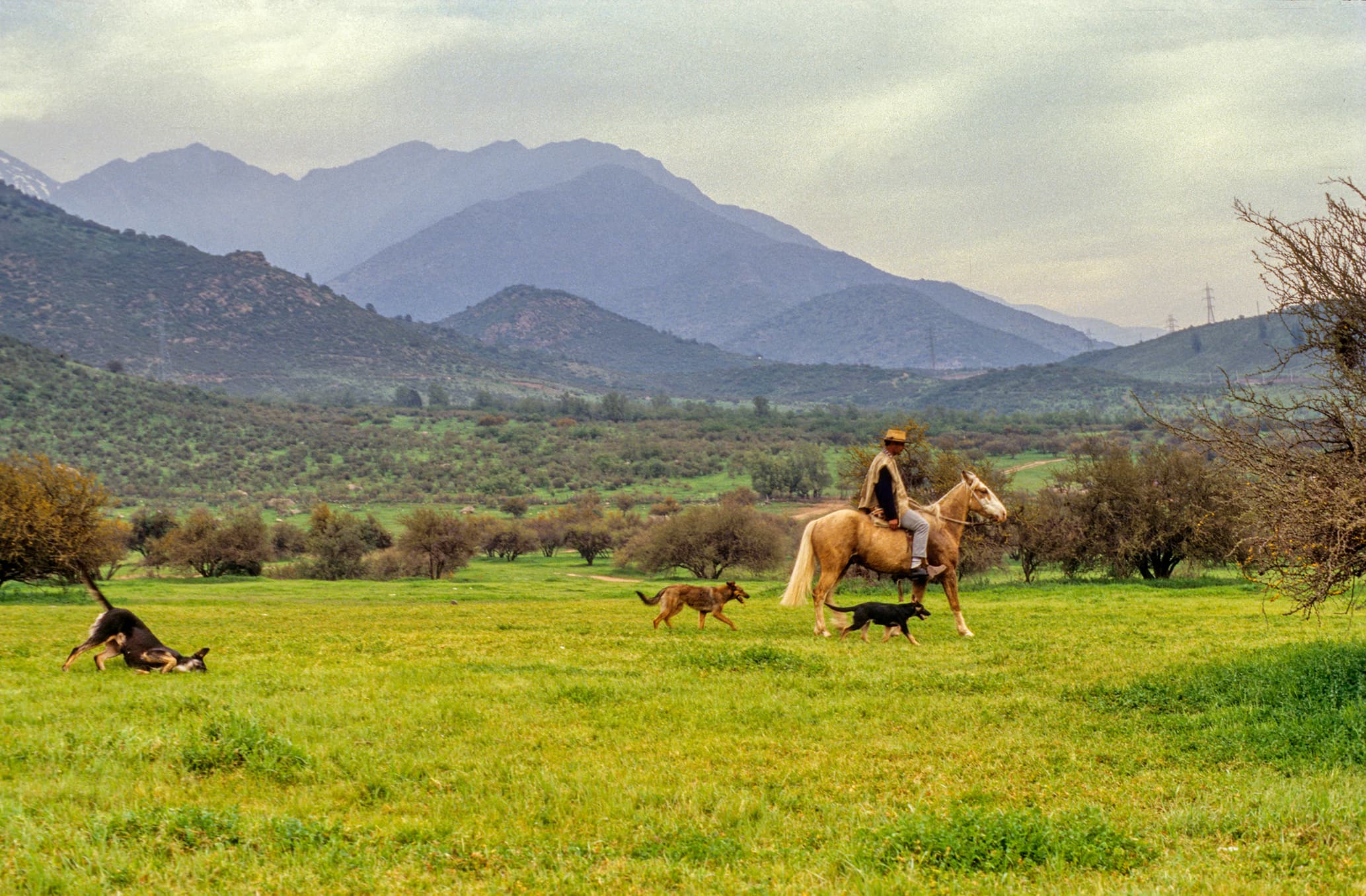 Sector Piedra Rajada o Piedra Roja, 1993