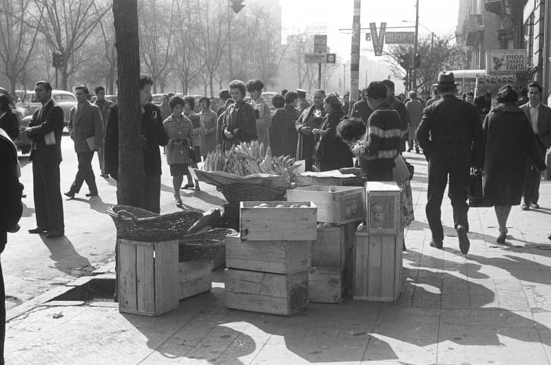 Vendedores de frutas, 1964