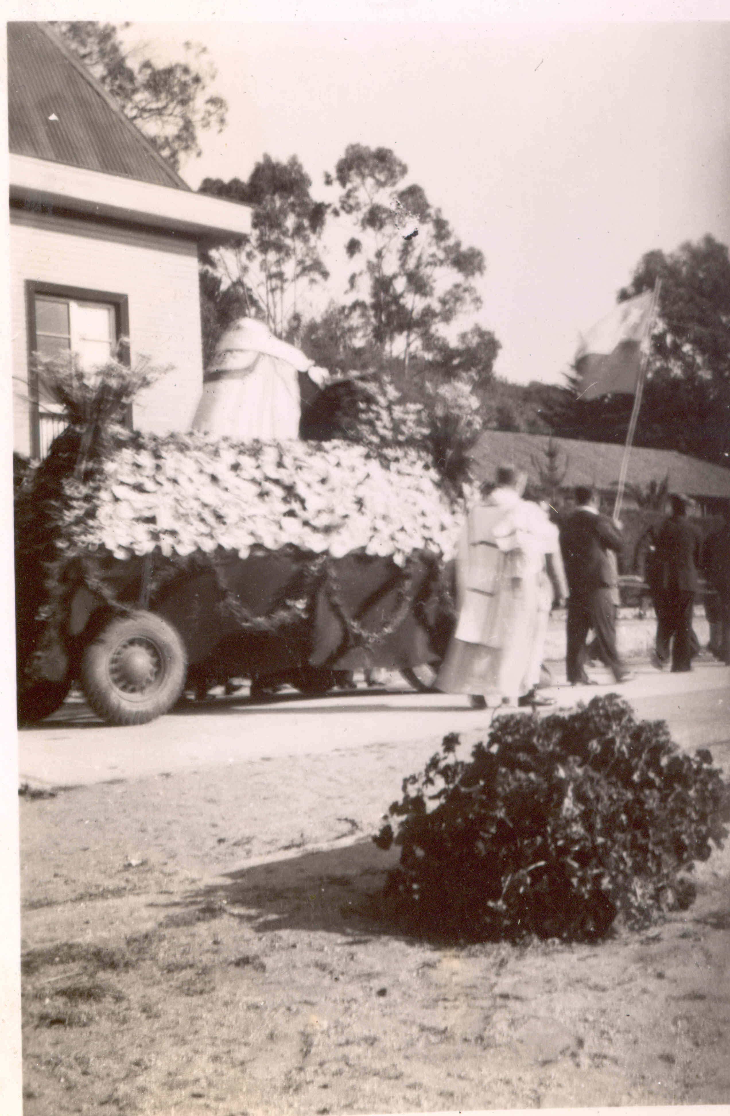 Algarrobo1950