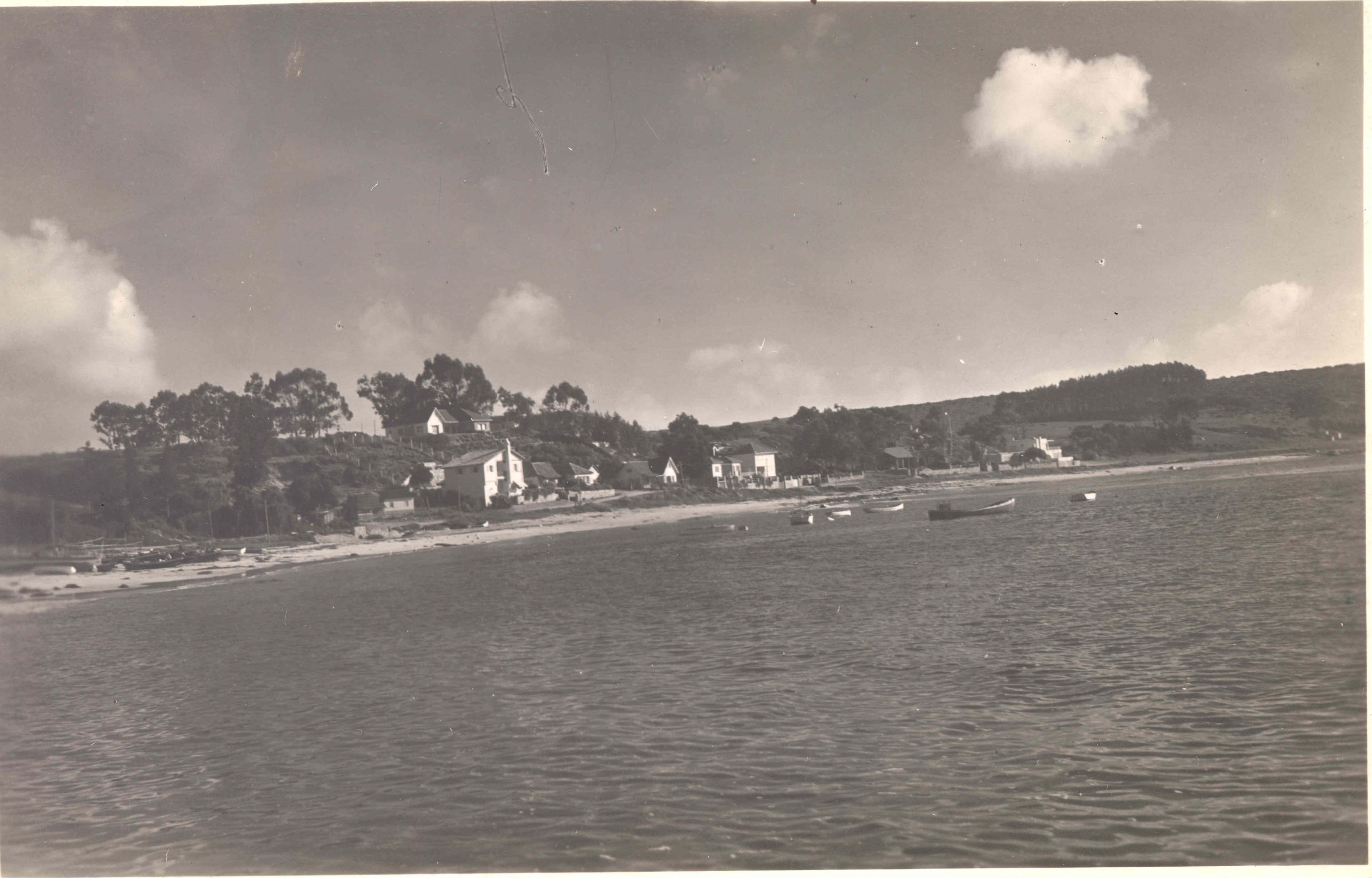 Algarrobo 1950