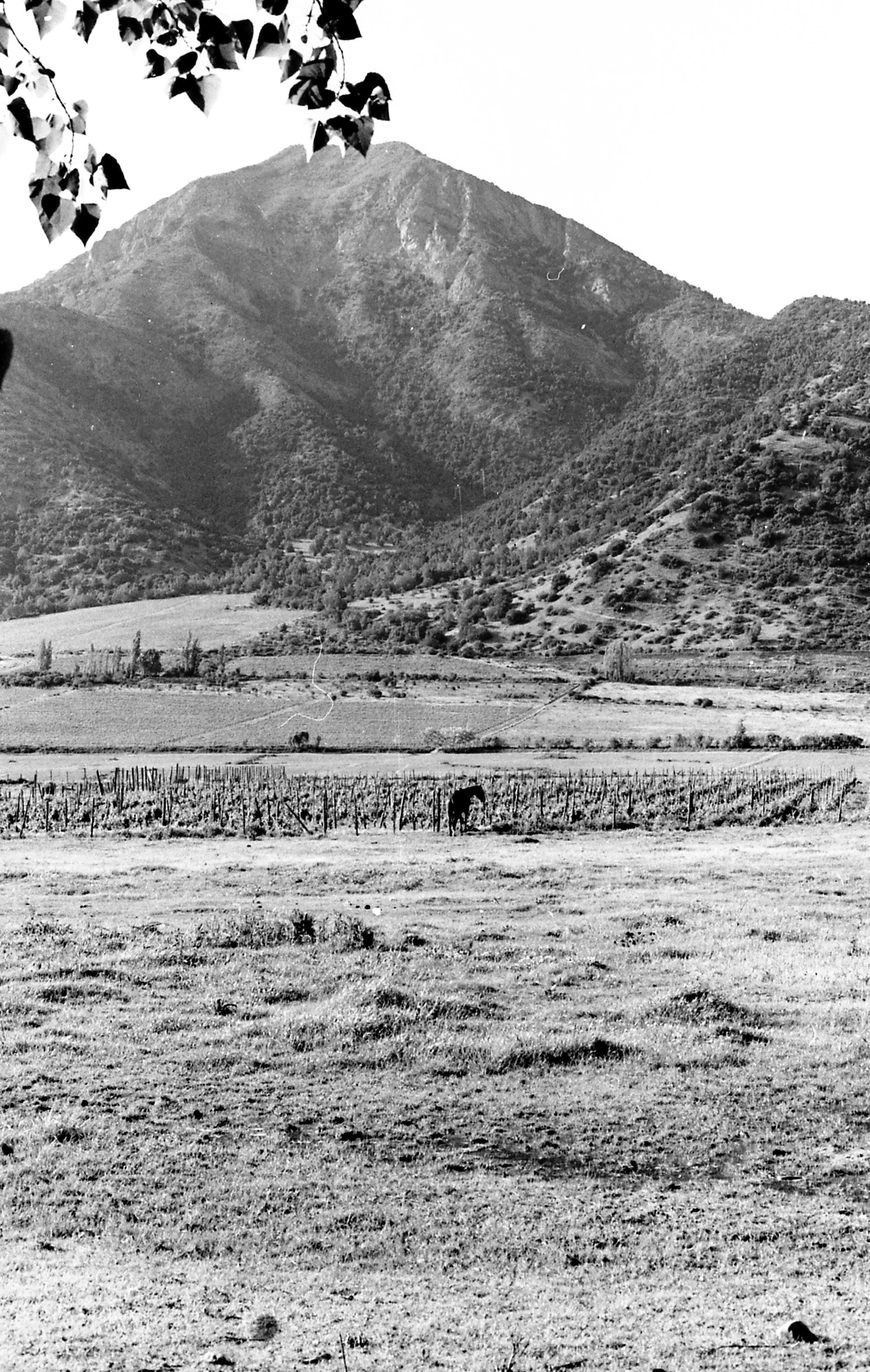 Cerro Manquehue, 1979