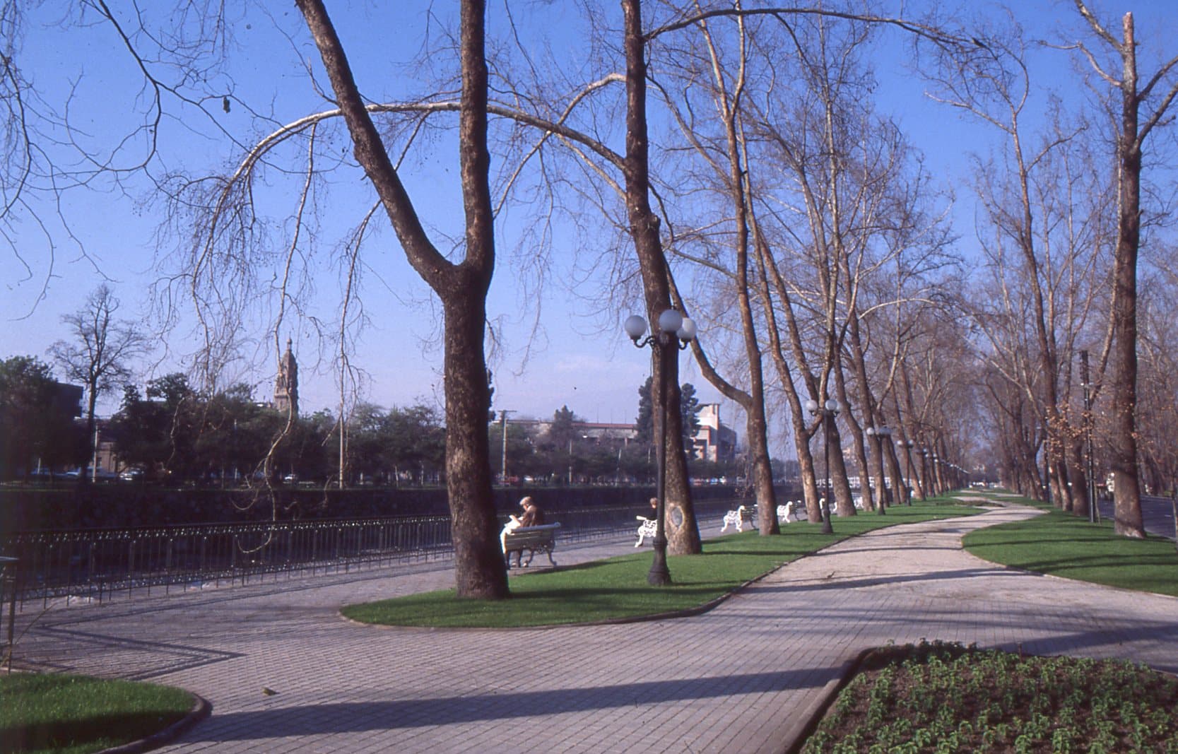 Parque Forestal, 1980
