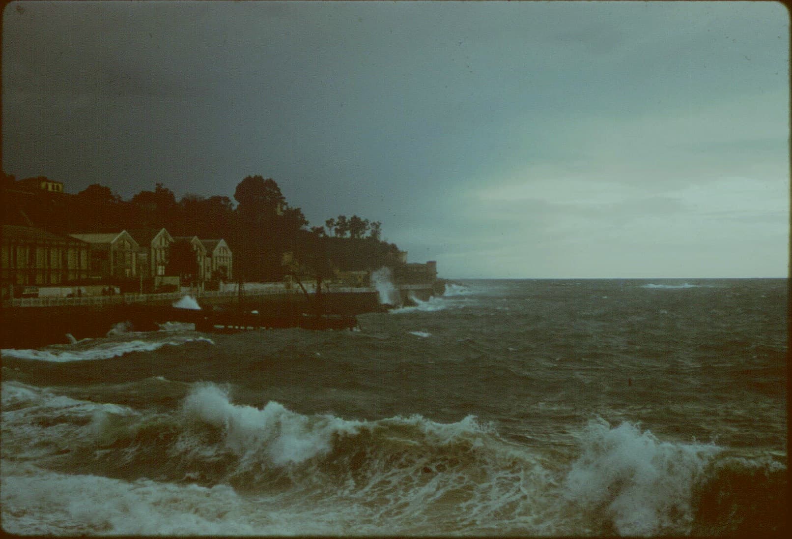 Av. Altamirano, 1959