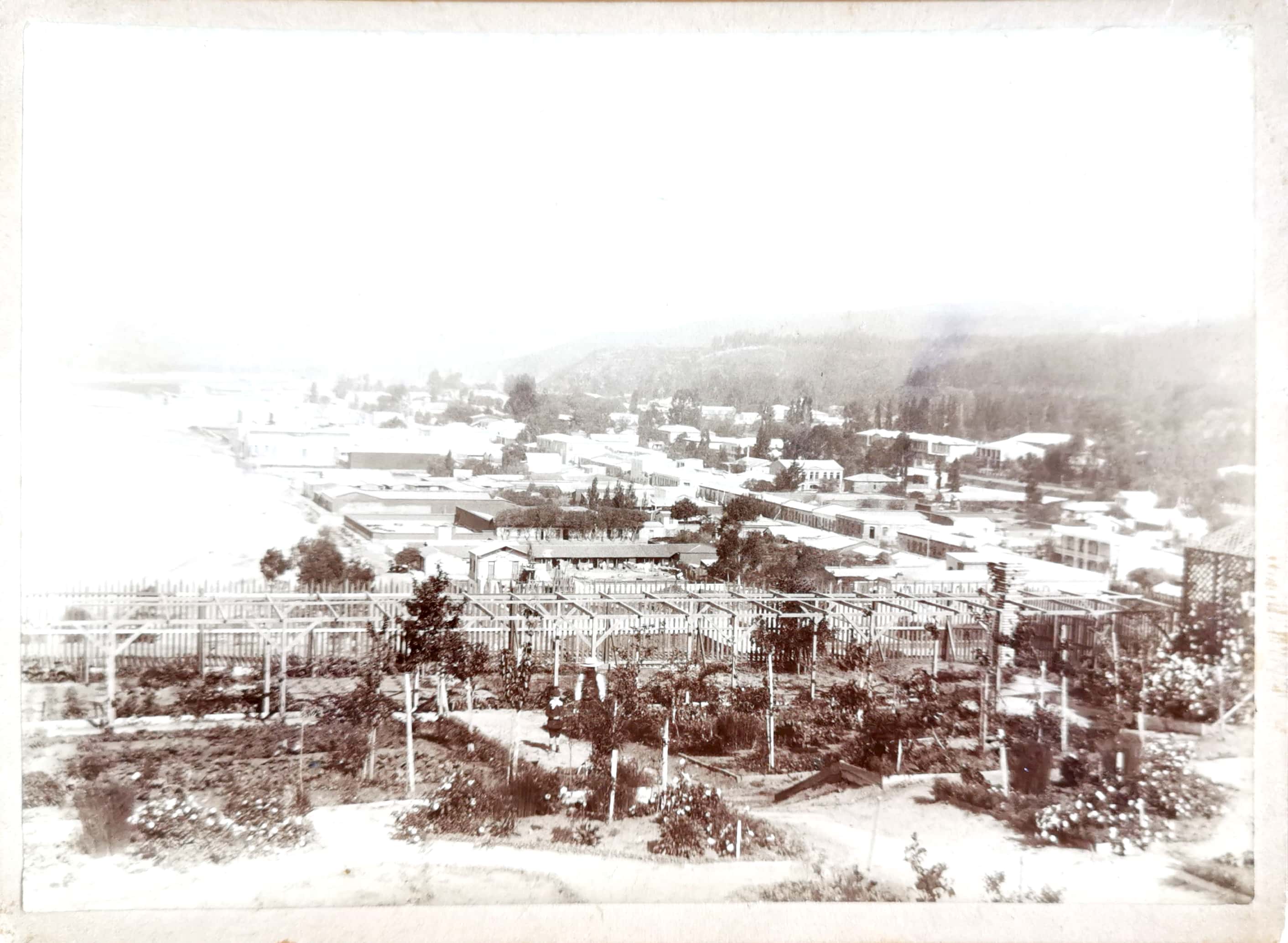 Viña del Mar desde Cerro Castillo , 1904