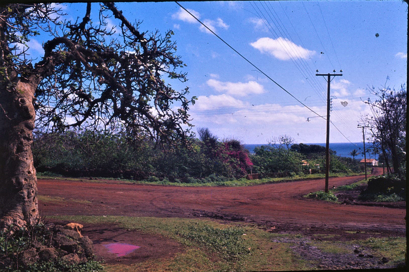 Rapa Nui desde la iglesia 1973
