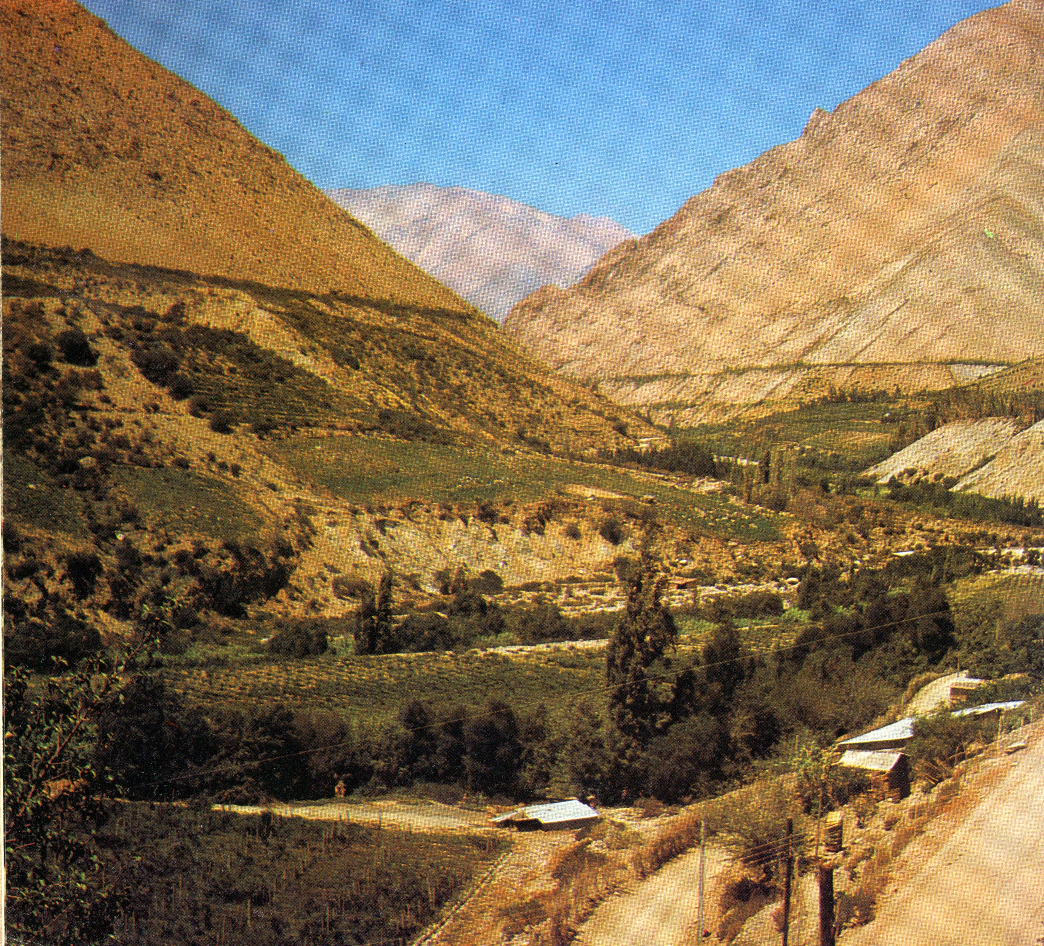 Montegrande, 1980