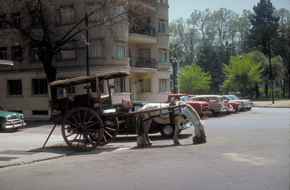 Parque Forestal de Santiago 1964