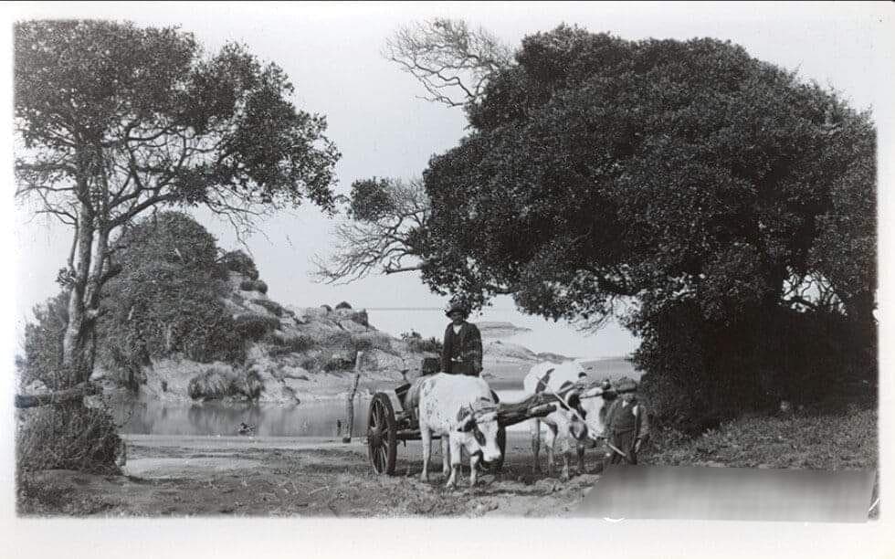 Desembocadura del Bio Bio en 1950