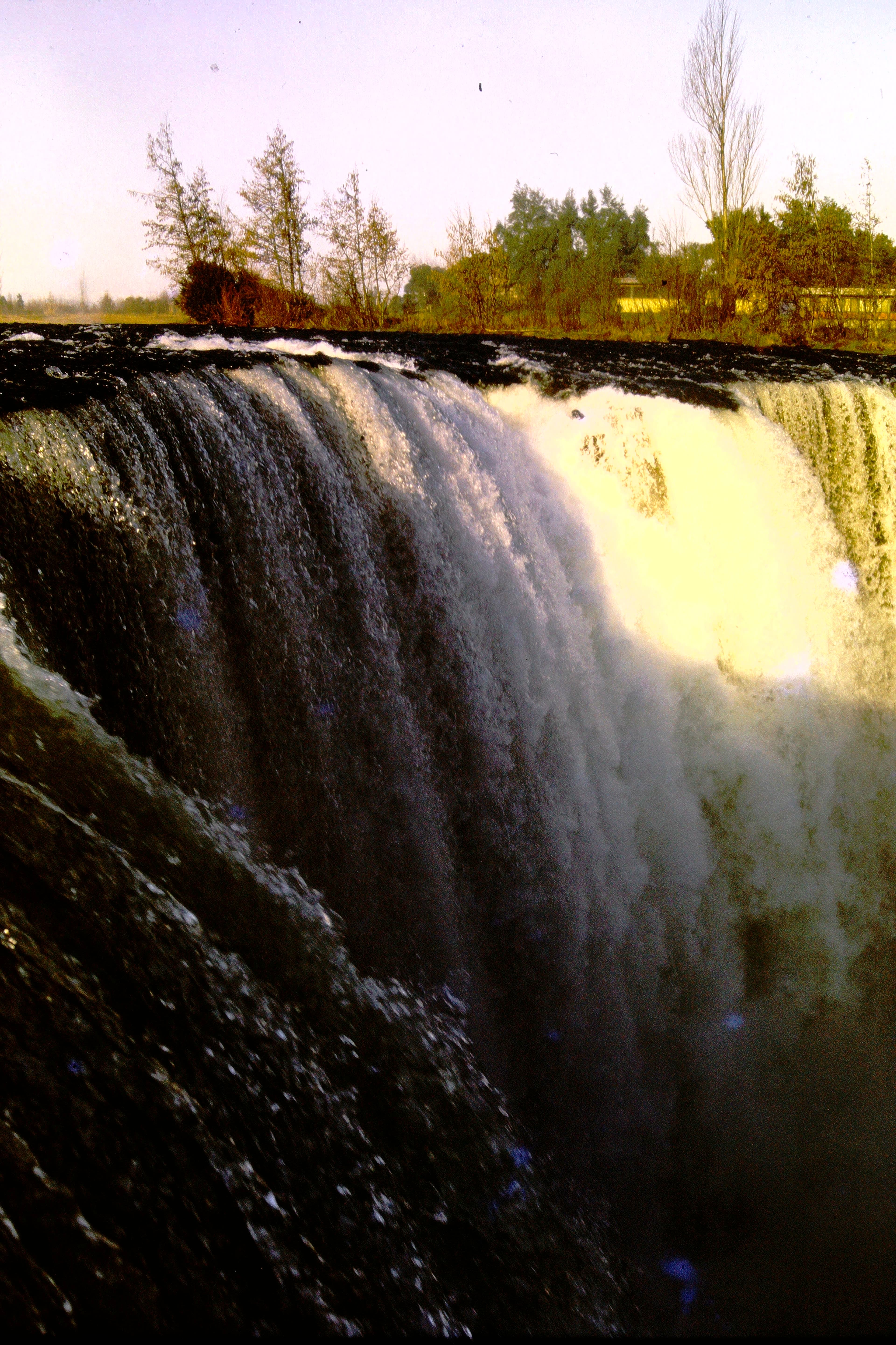 Saltos del Laja
