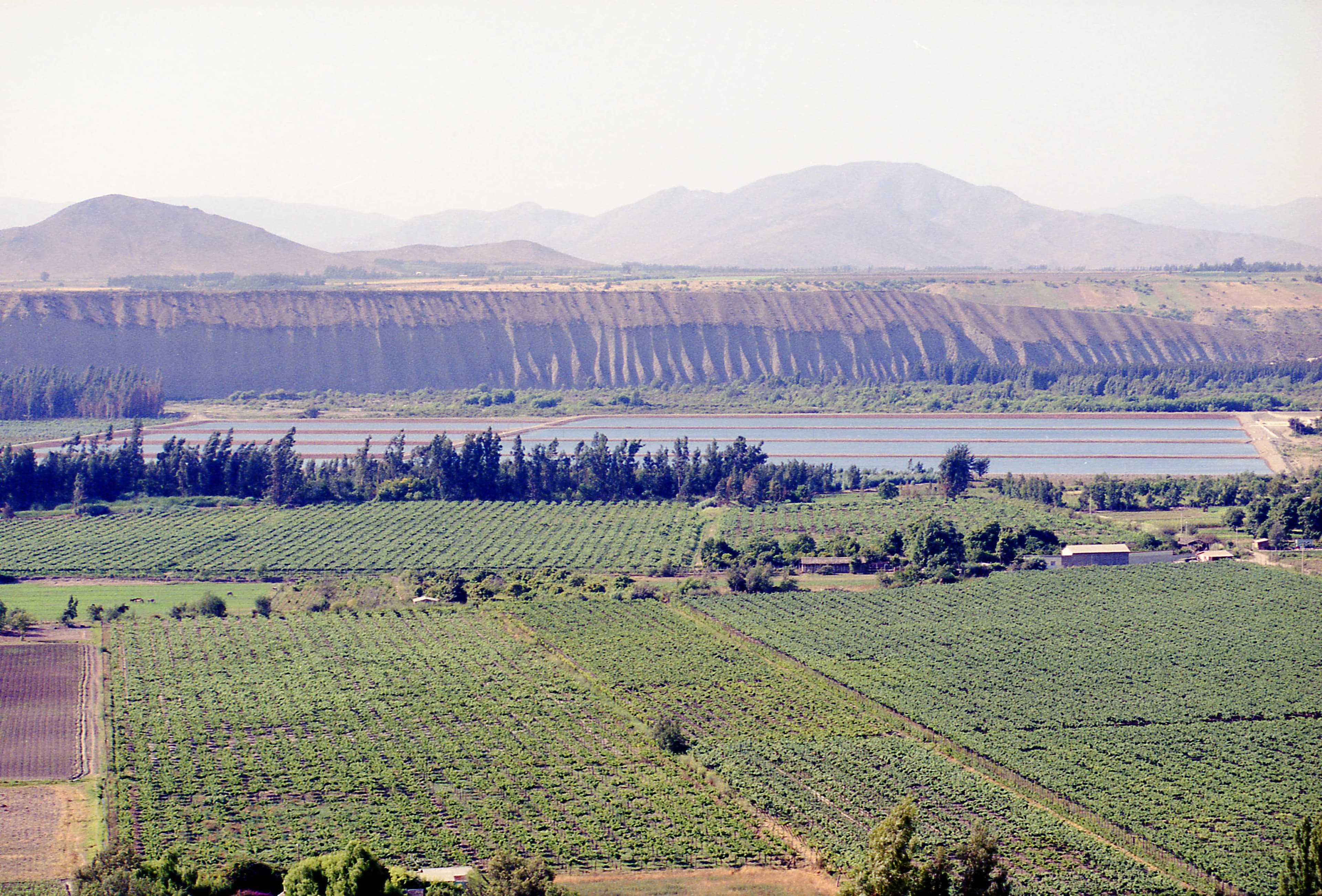 Valle del Limarí, 2000