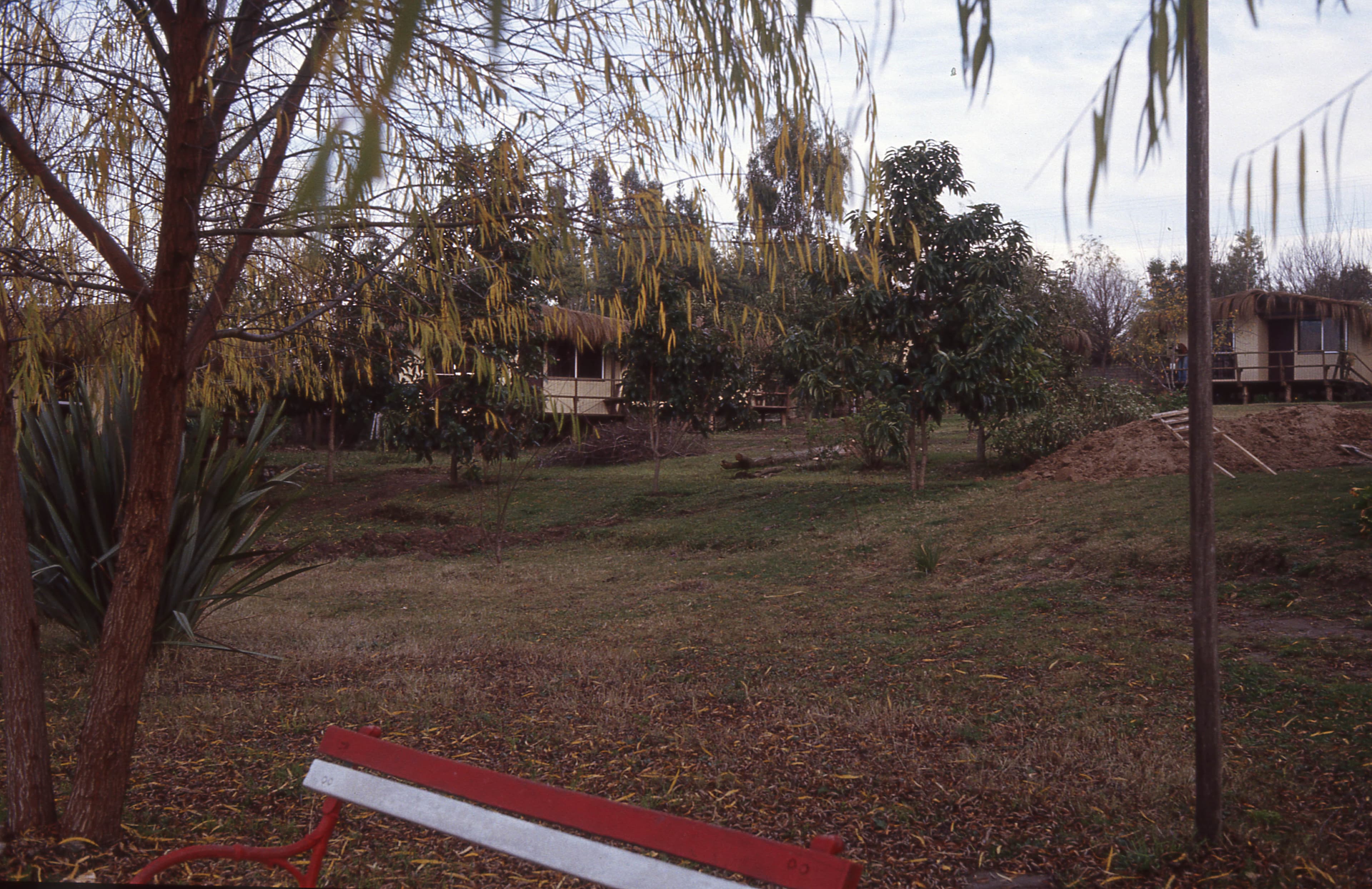 Marina de Rapel, 1983