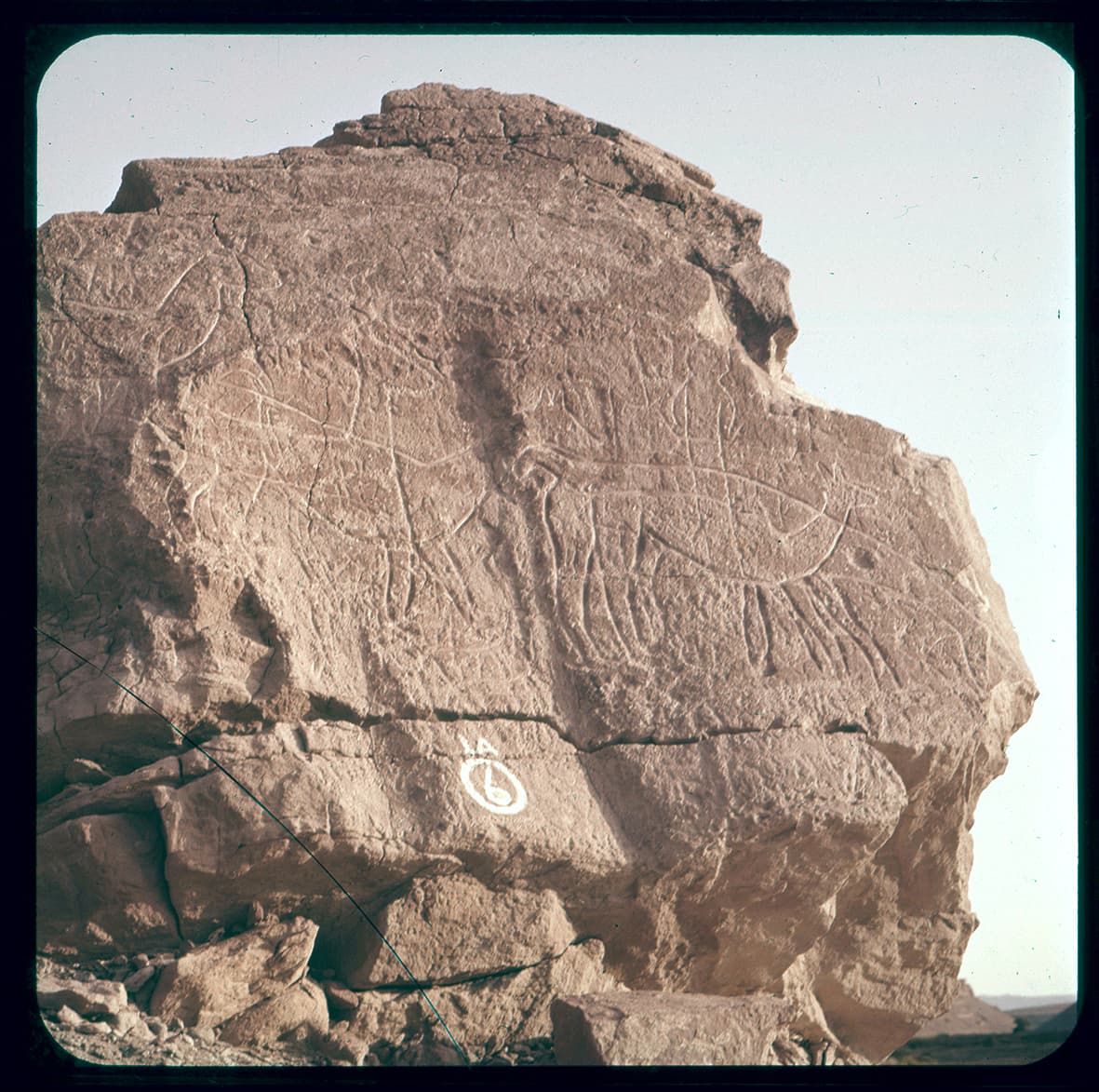 Petroglifos del Valle de Lasana, Calama, Región de Antofagasta, Chile, 1950 - 1965