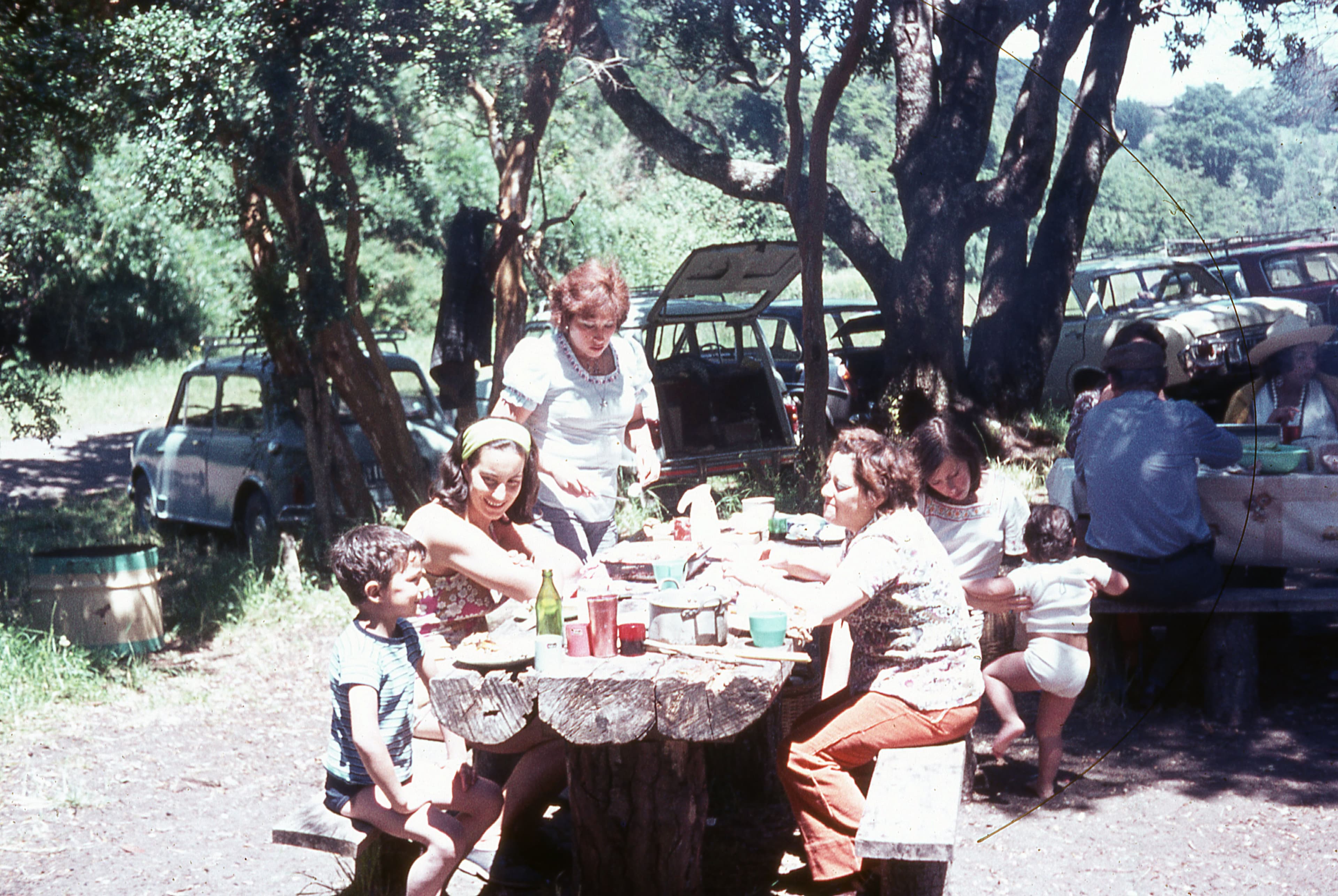 Almuerzo en un bosque, ca. 1965