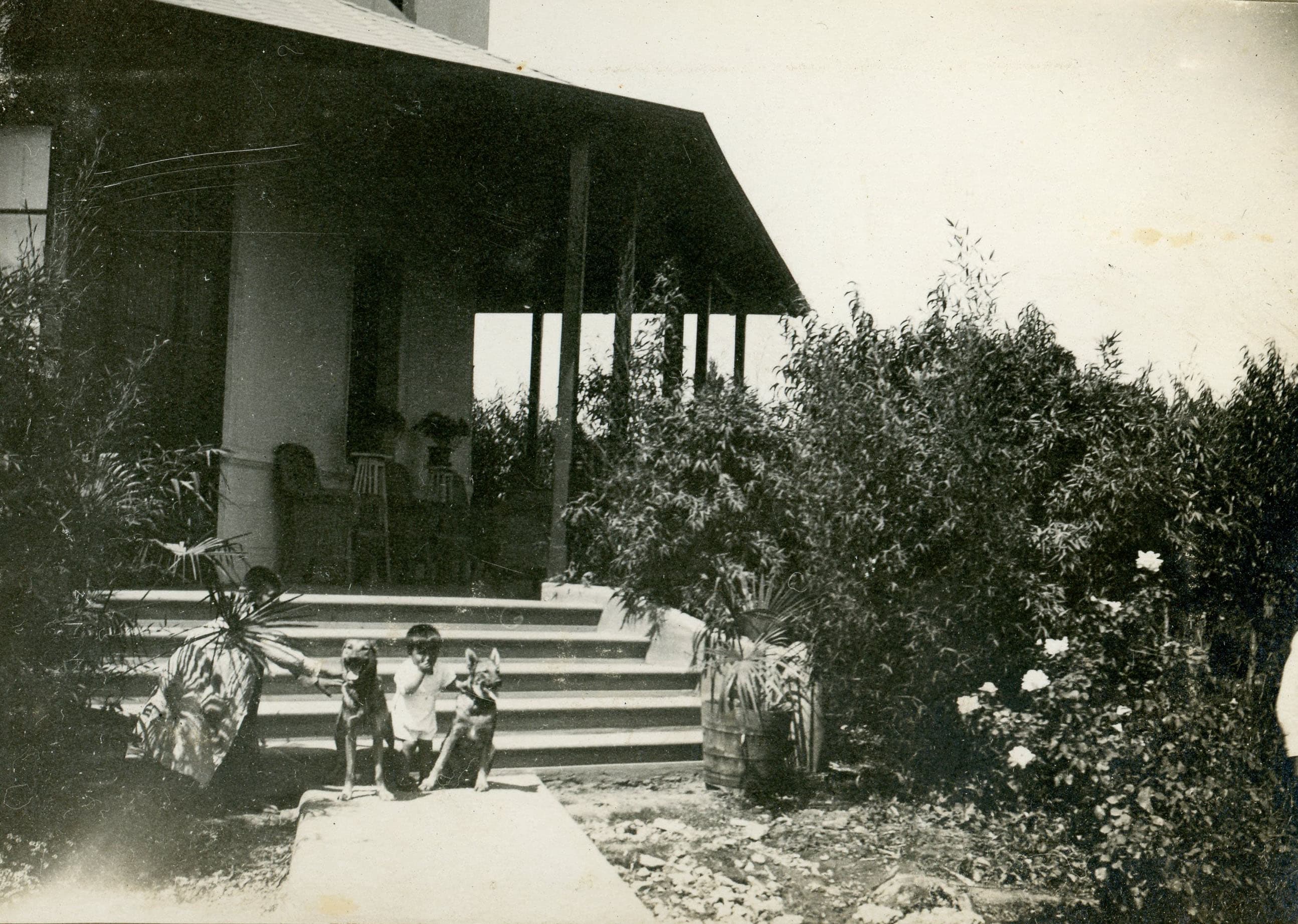 NIño y perros en Providencia, Miguel Claro 584, año 1919