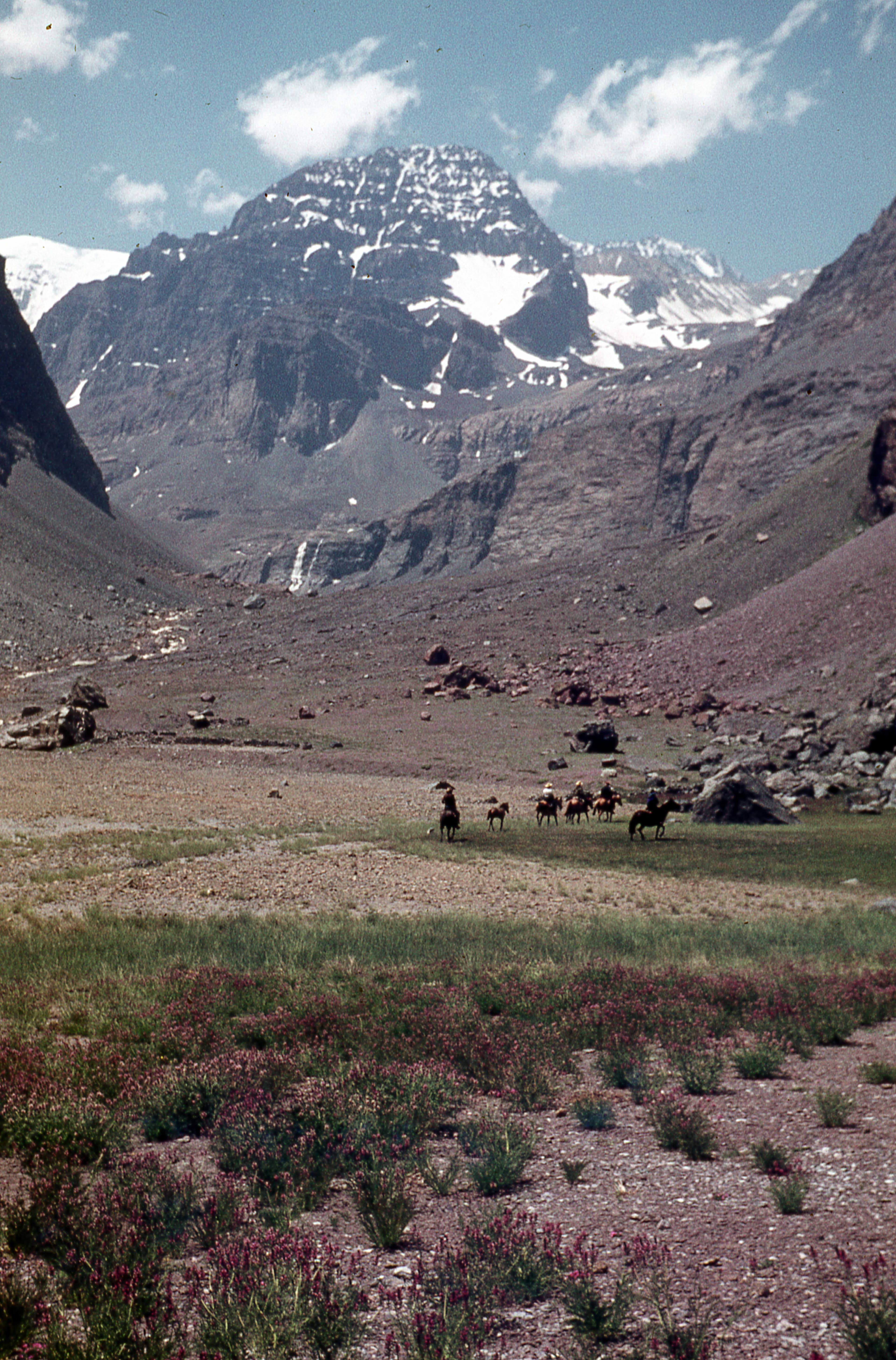 Paseo al Cerro La Paloma, 1978