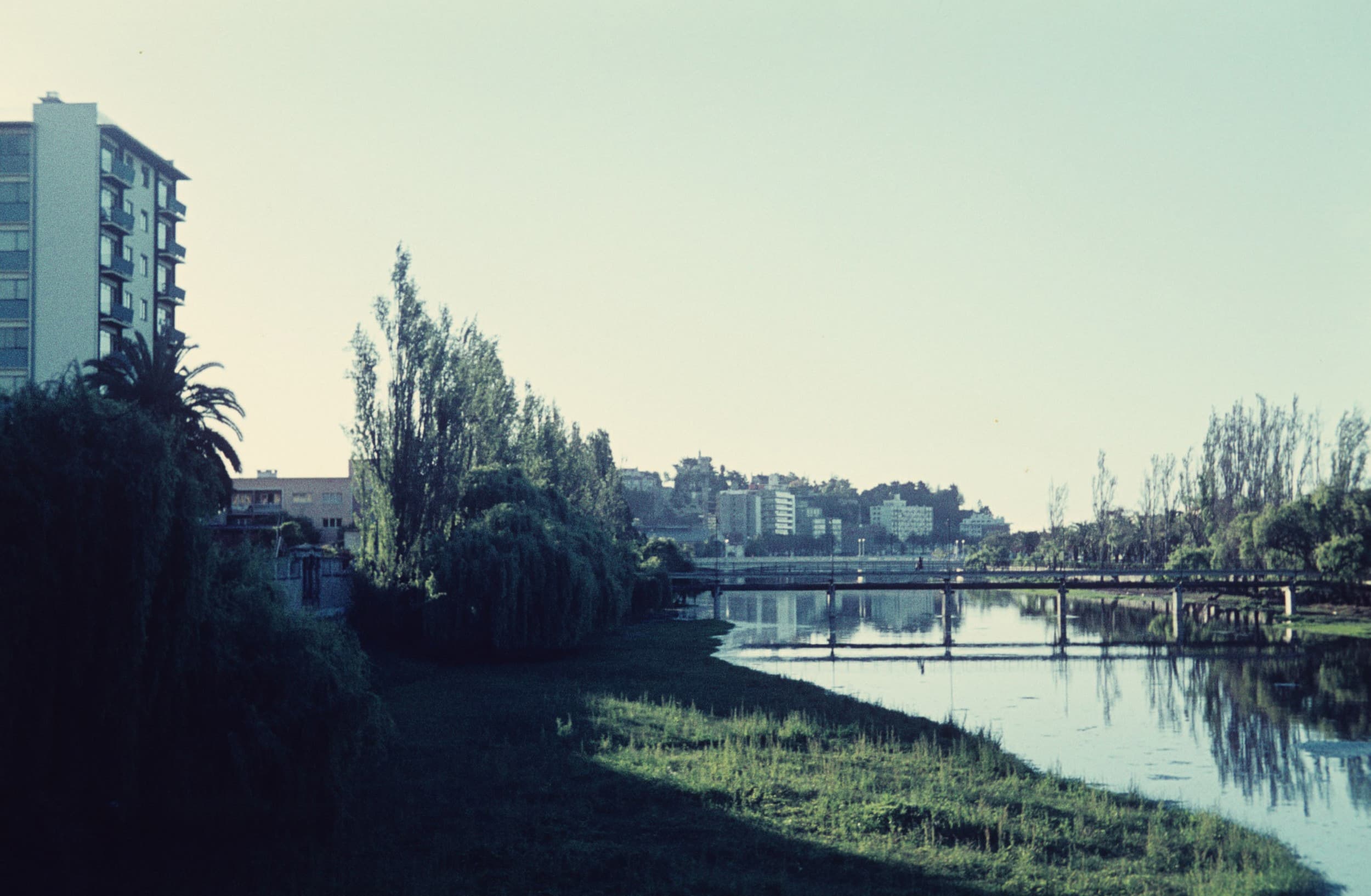 Estero en Viña del Mar, Noviembre de 1960