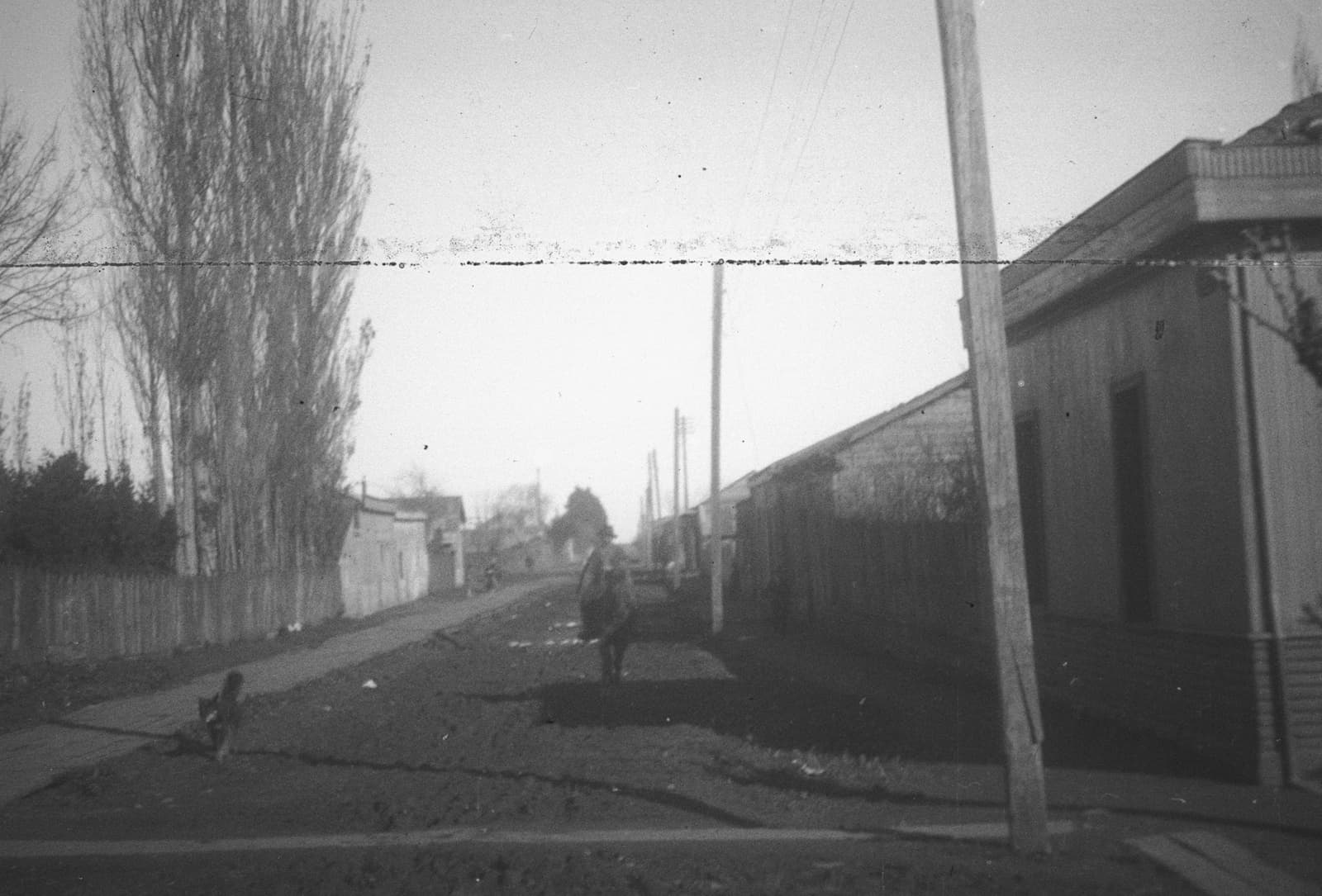 Jinete en una calle, Araucanía, 1928