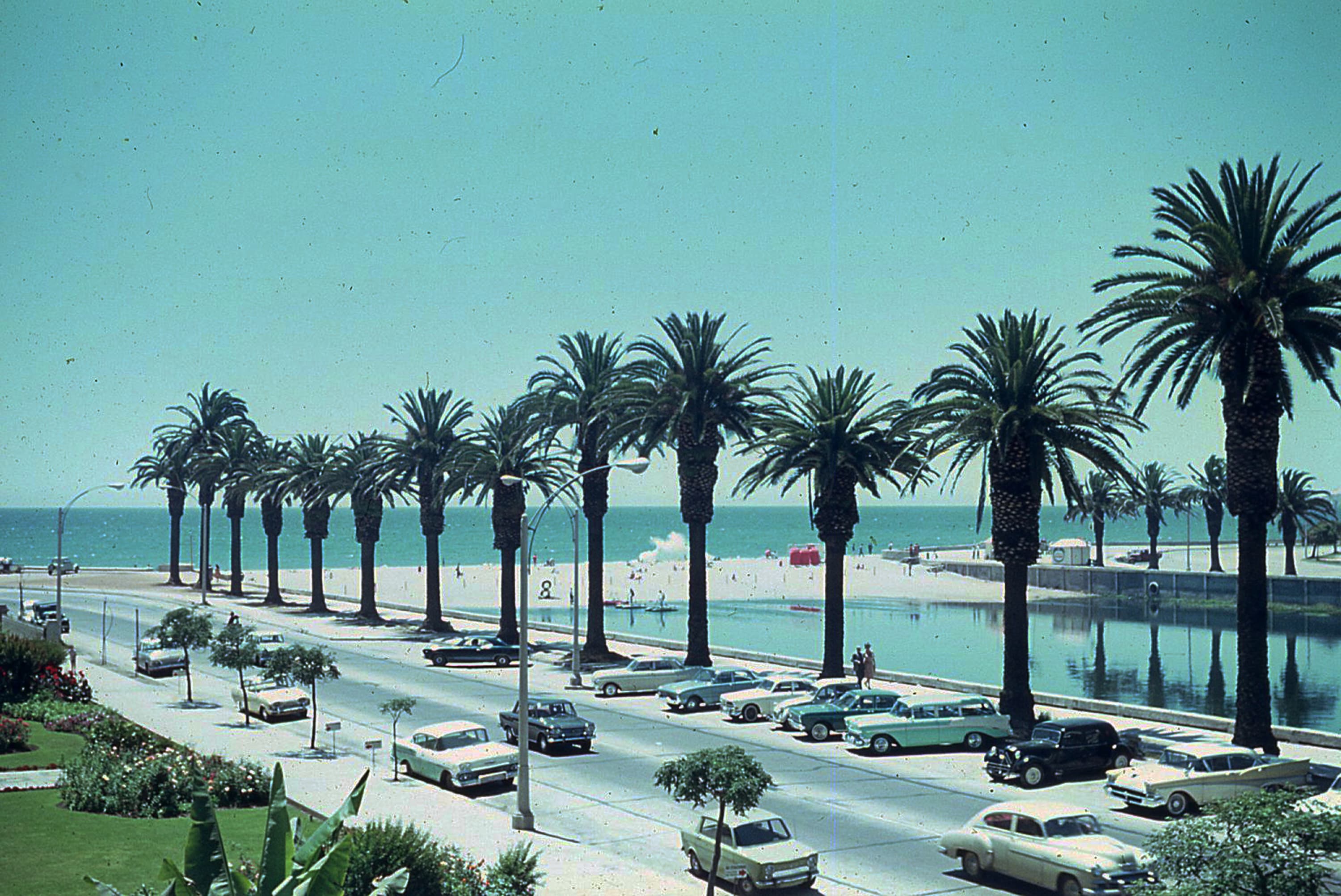Viña del Mar y Avenida La Marina, 1968
