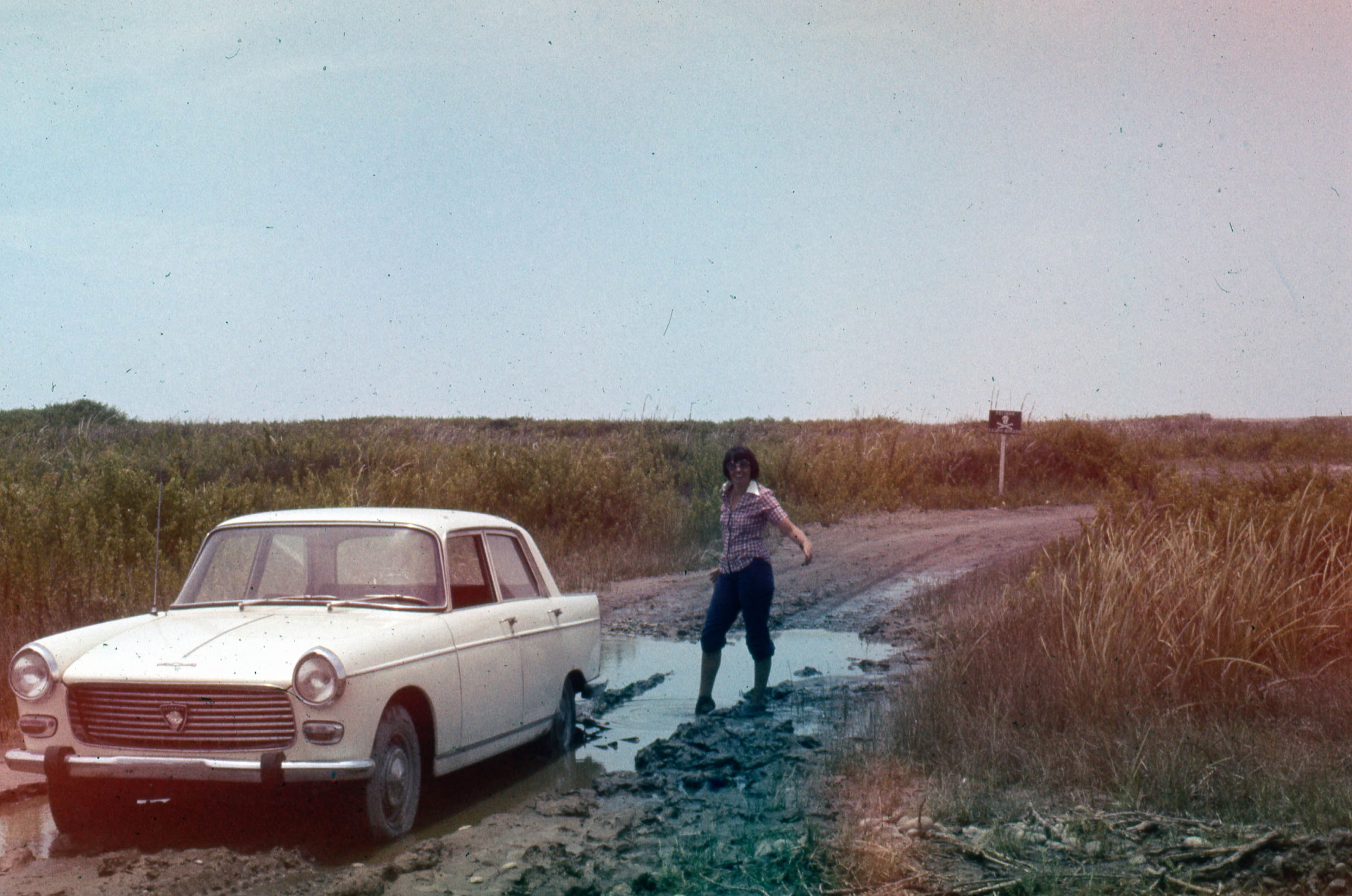 Mujer y automóvil, Región de Arica, 1968