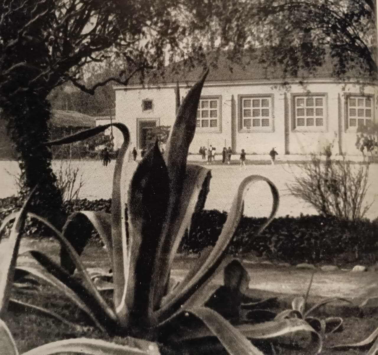 Gimnasio Santiago College en 1962