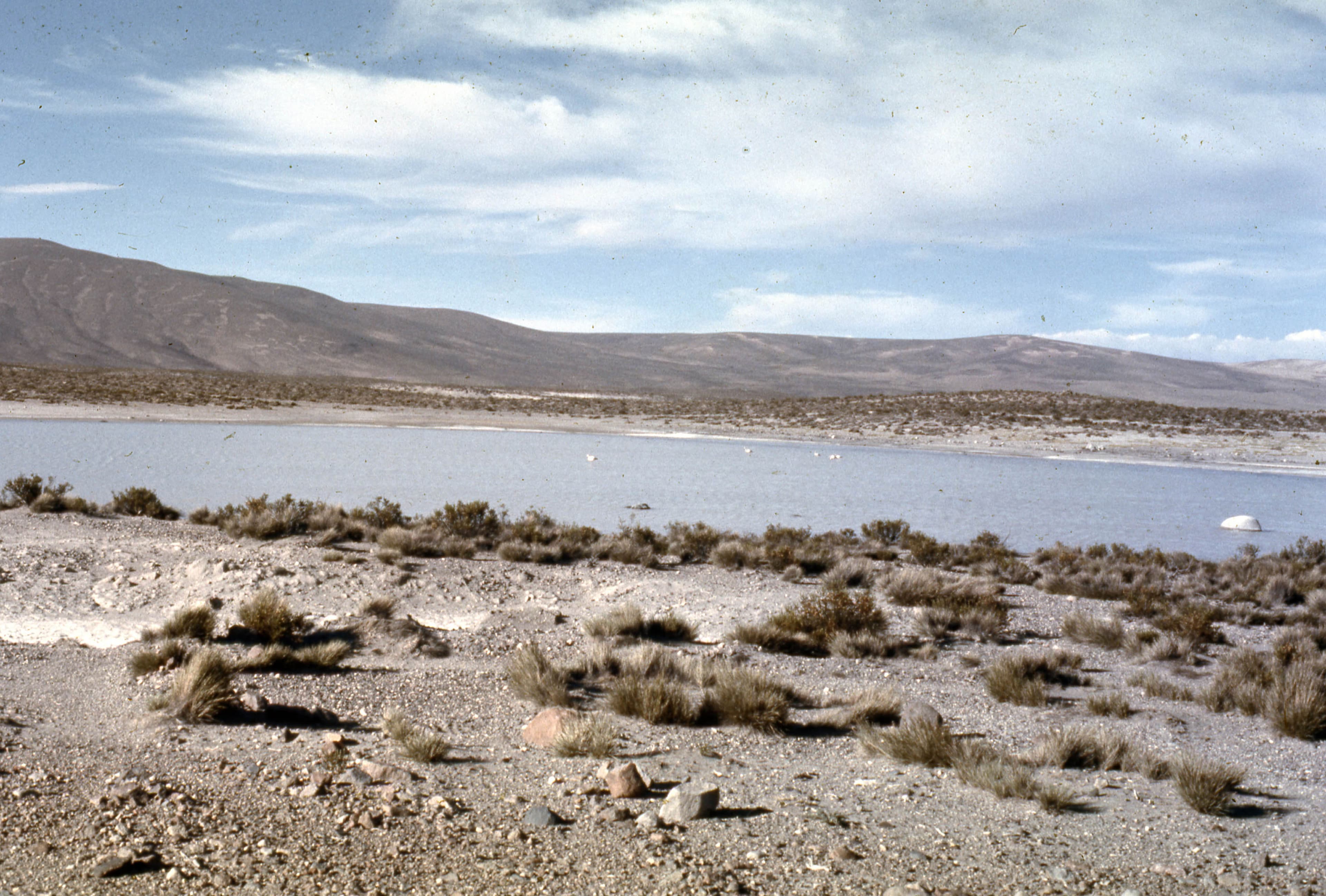 Parque Nacional Lauca, 1968
