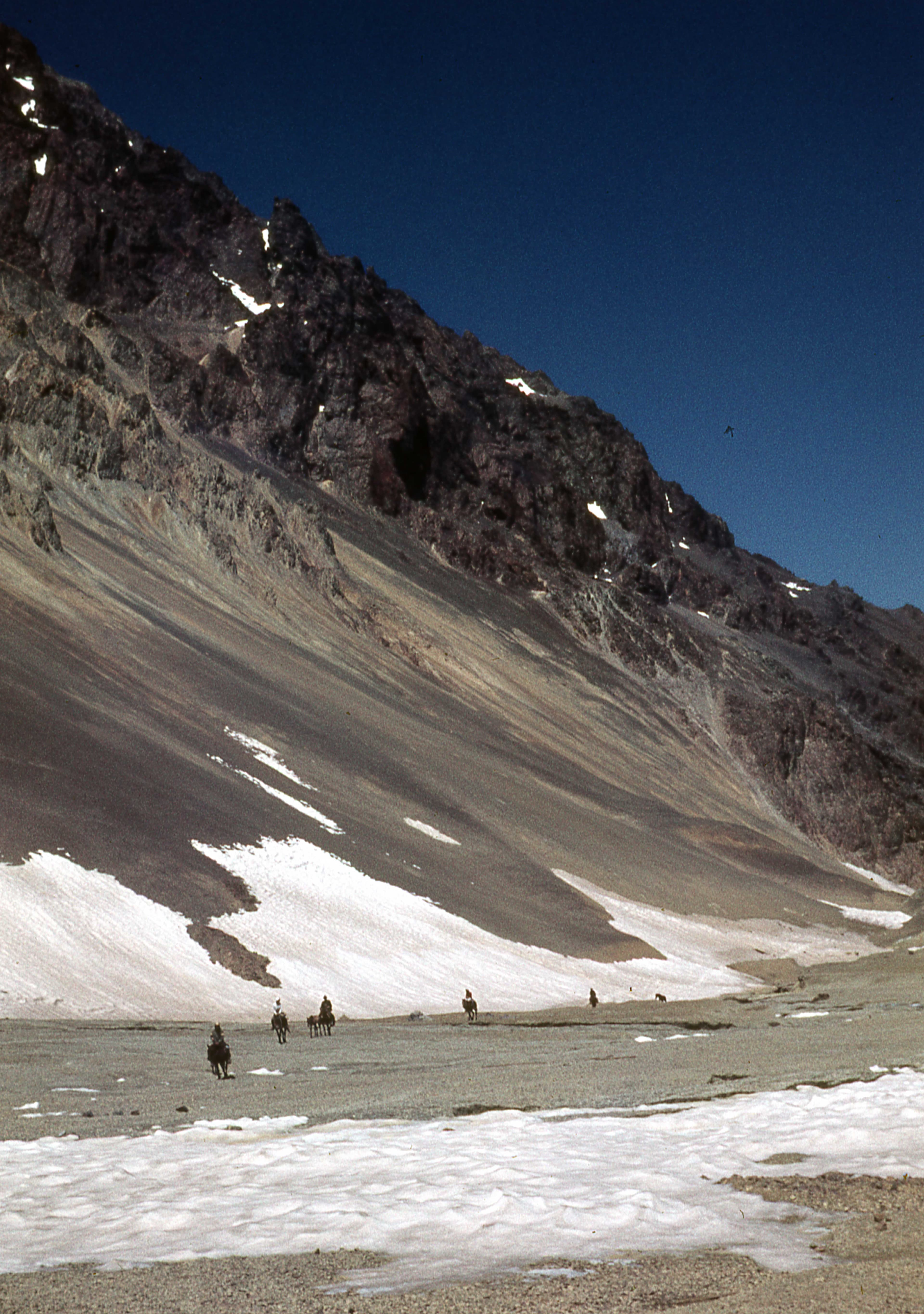 Paseo a La Paloma, 1978