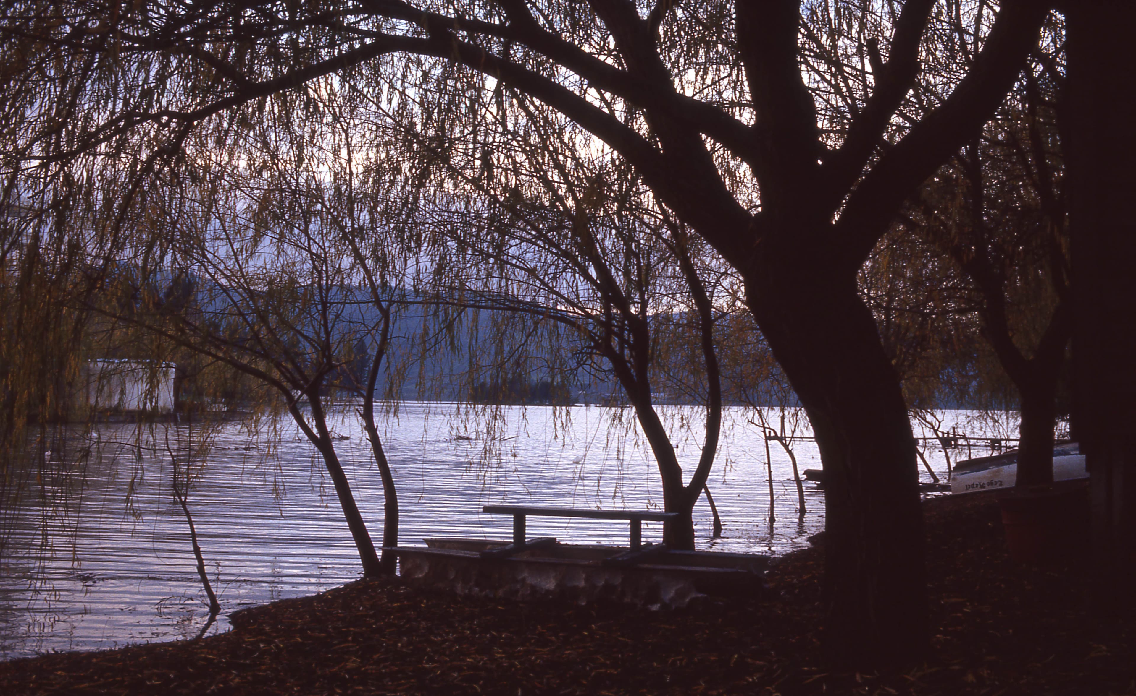 Camping Los Sauces en Rapel, 1983