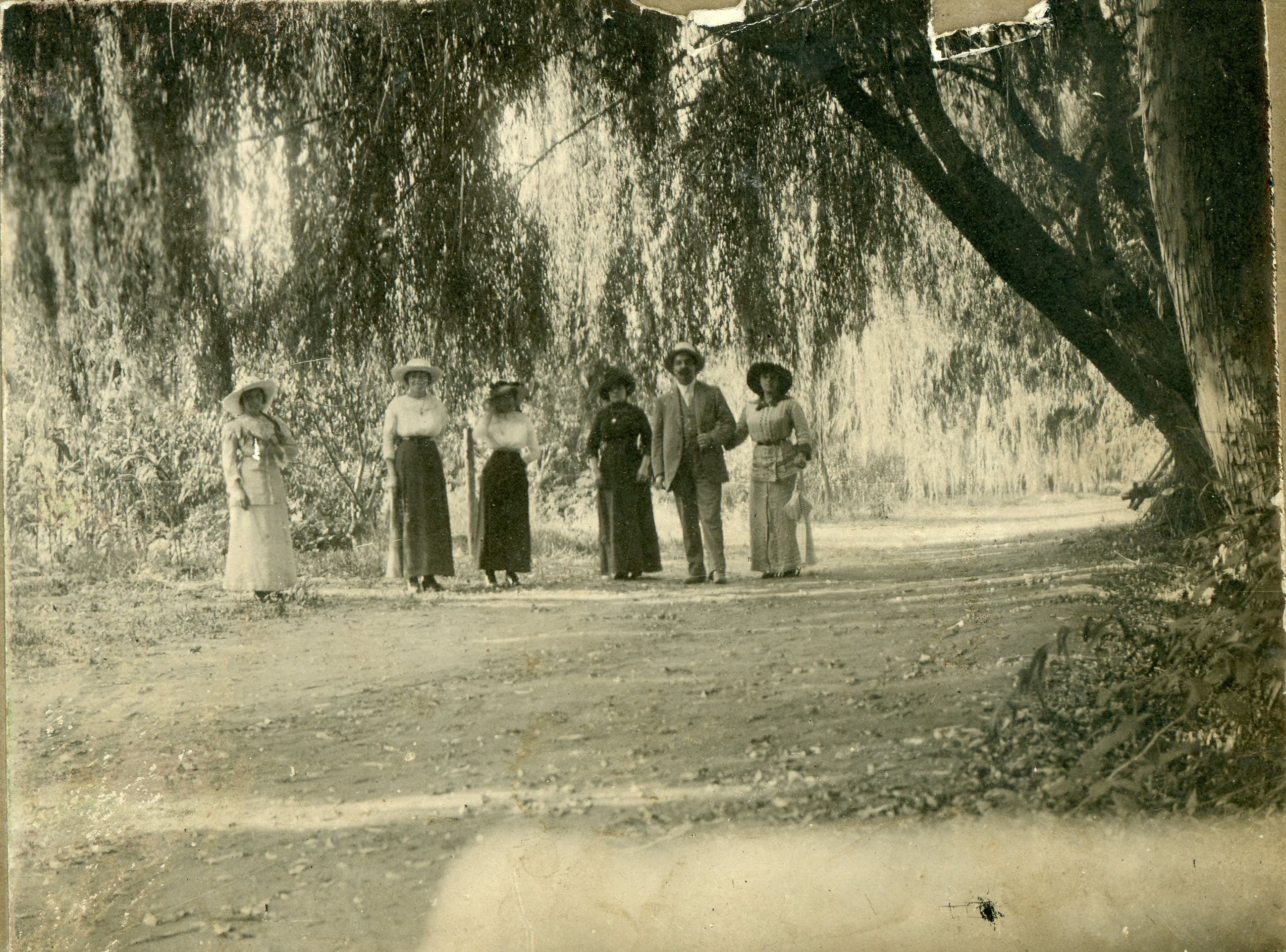 Lo Chaparro, Limache, Febrero de 1913